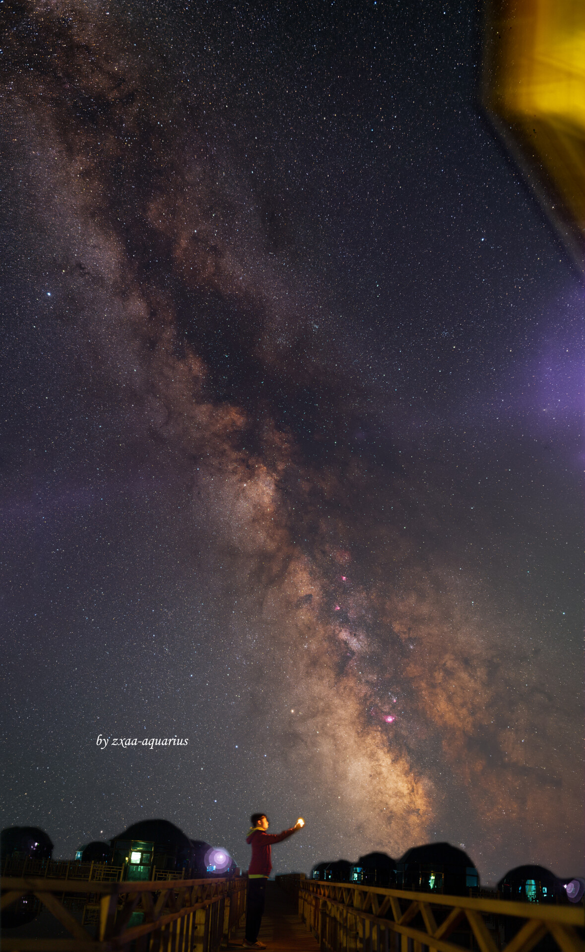 照映星河