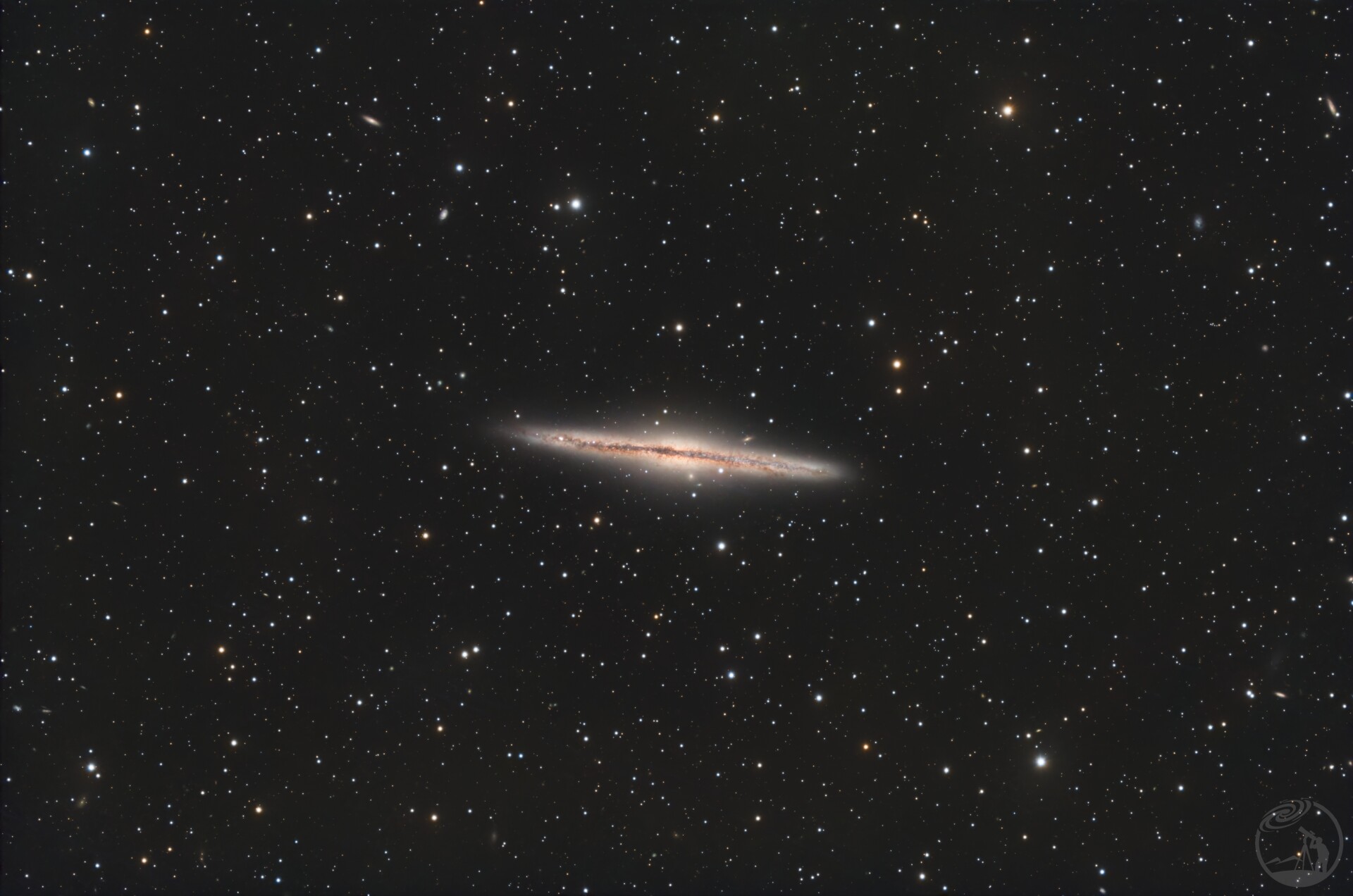 ngc891银裂星系