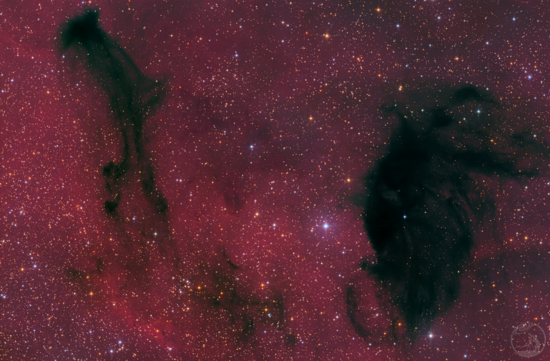 SH2-41