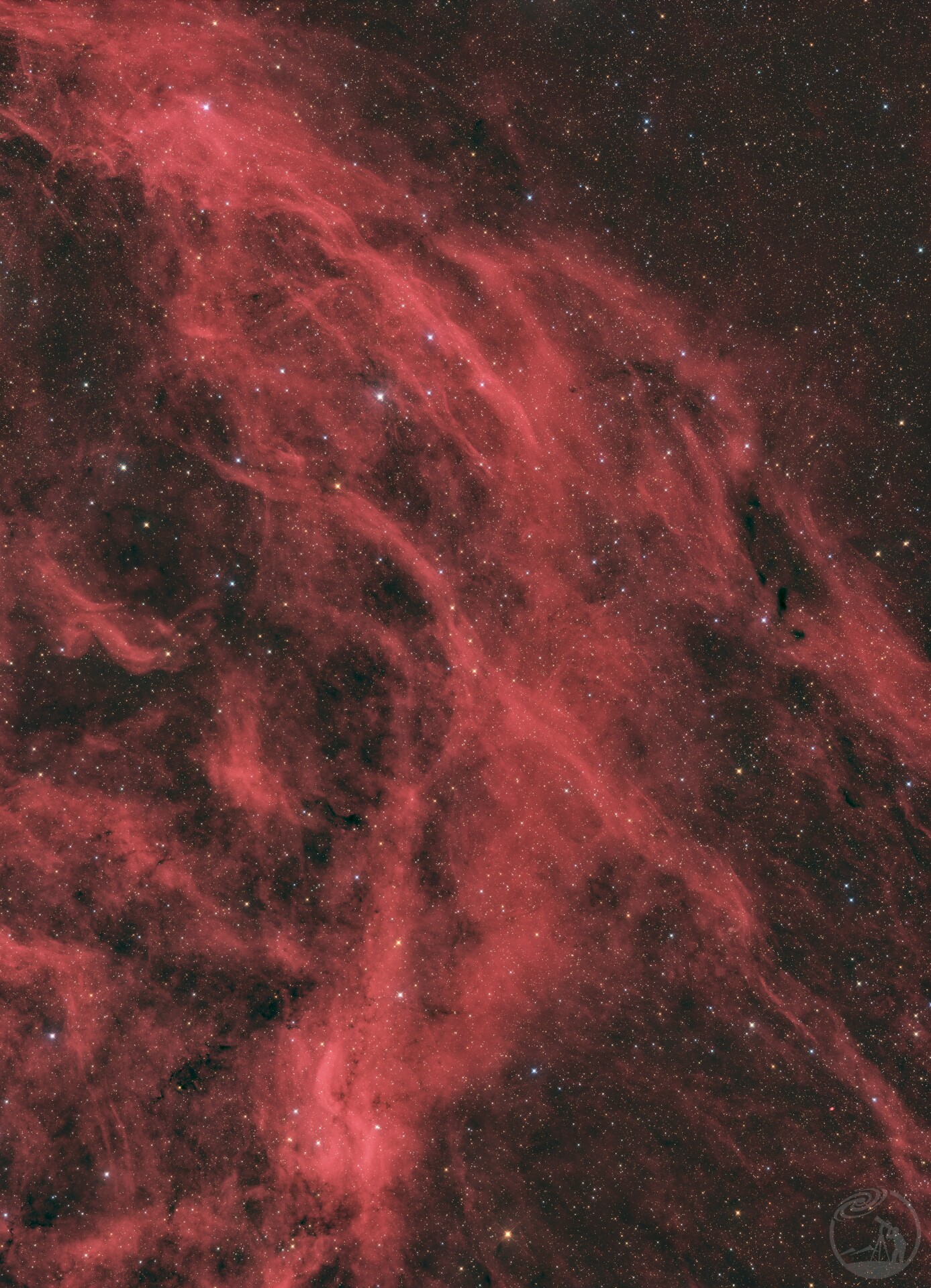 《吞星之鲸》