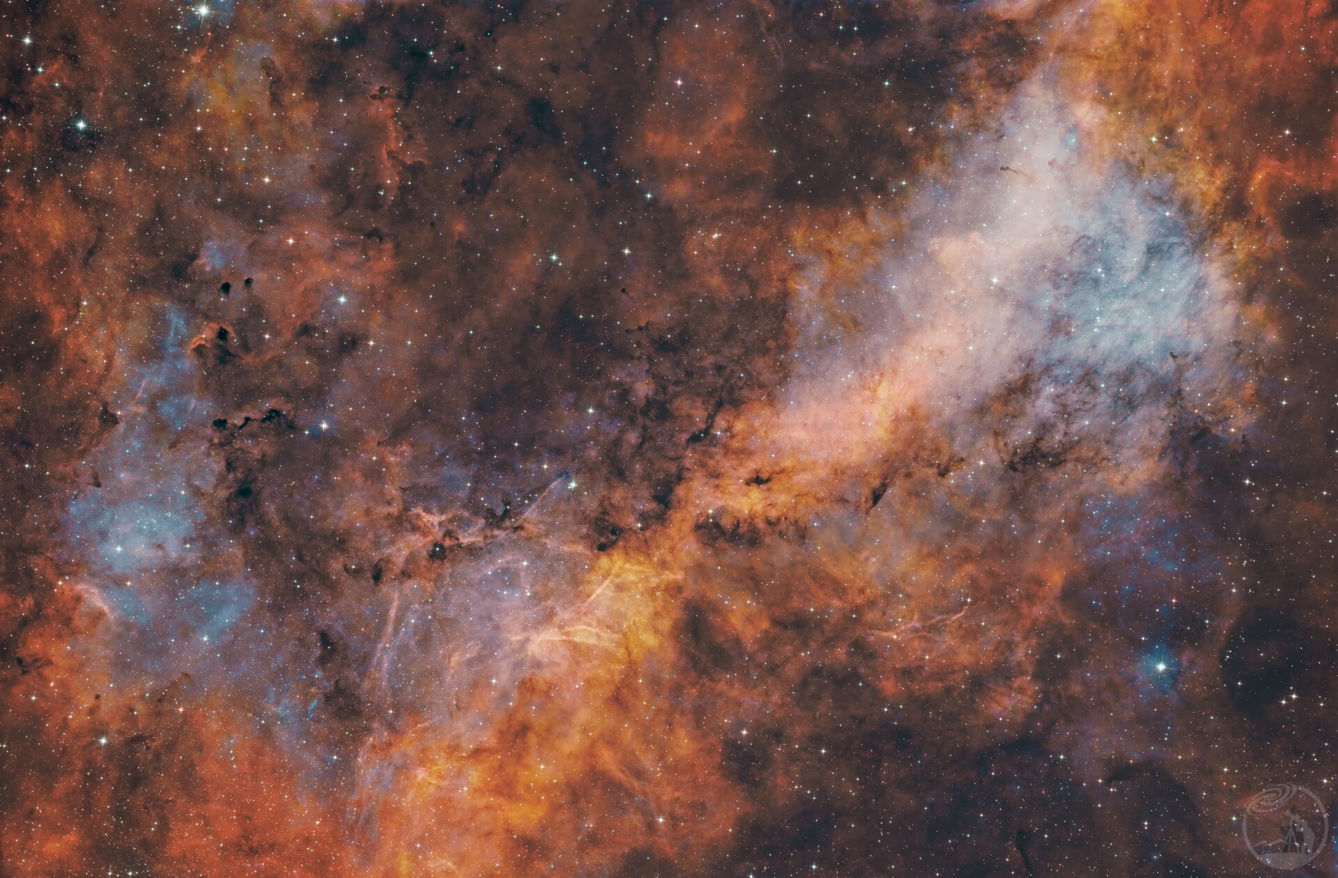 IC1318天津一区域