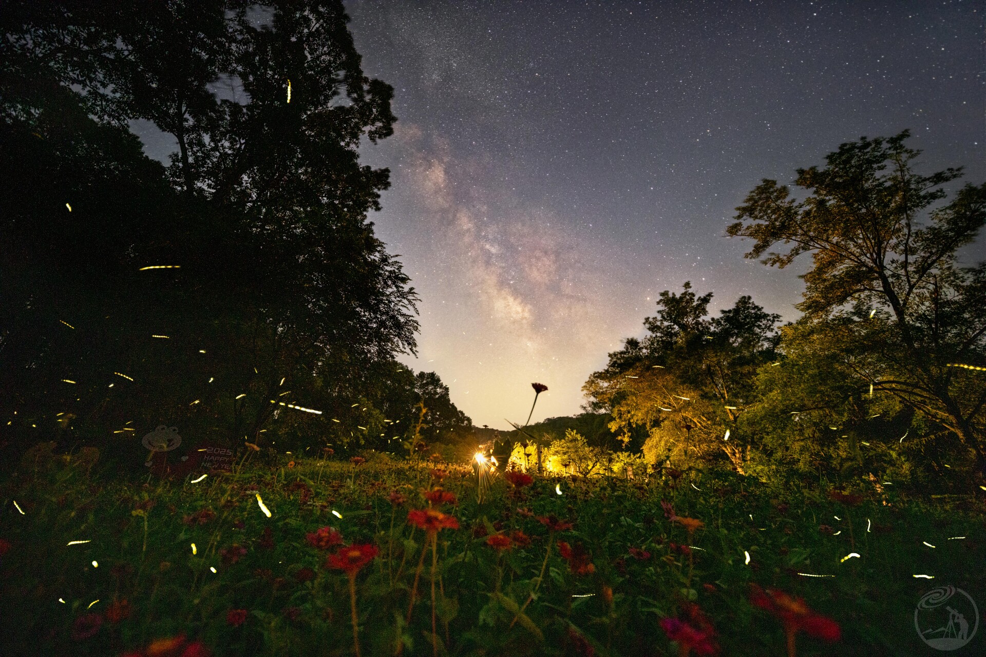 萤火簇星河