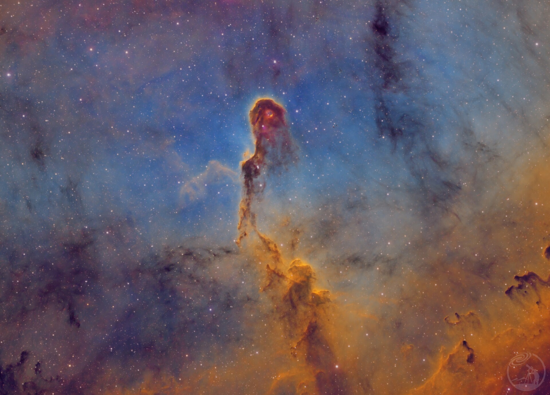 IC1396 V2