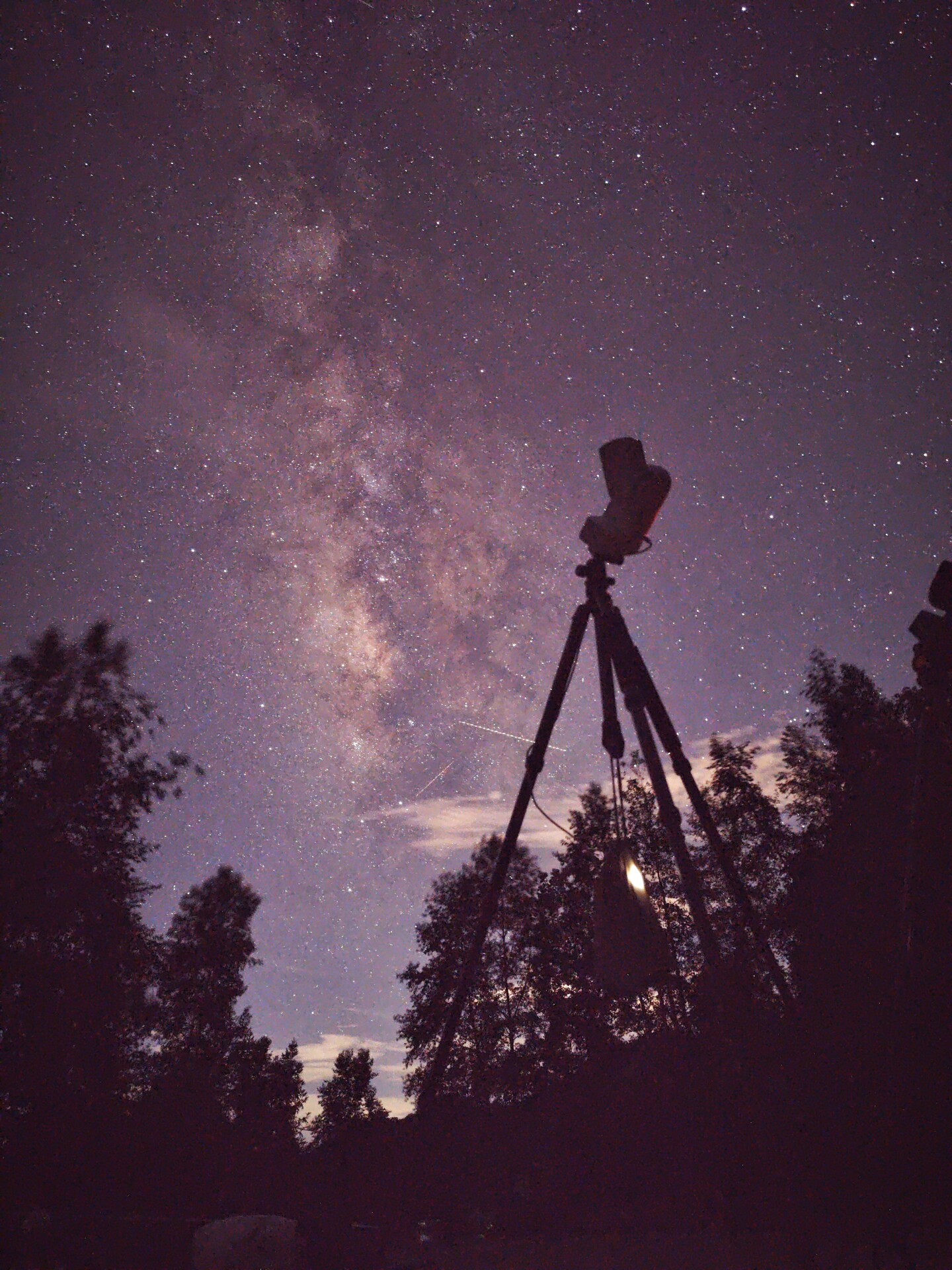 振旺S30/50双机打野