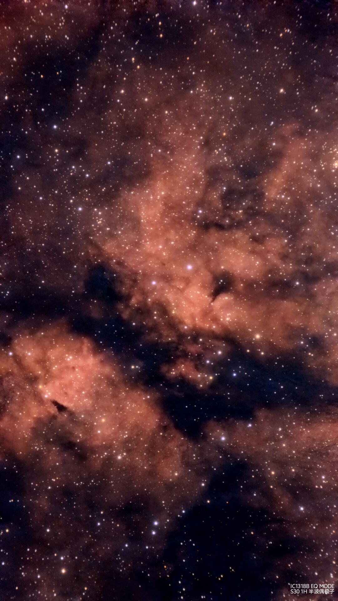 蝴蝶星云局部
