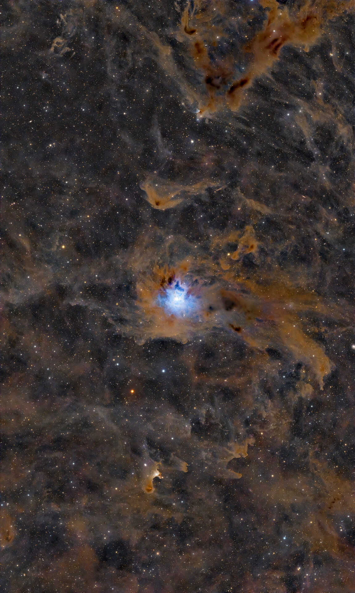 鸢尾花星云NGC7023