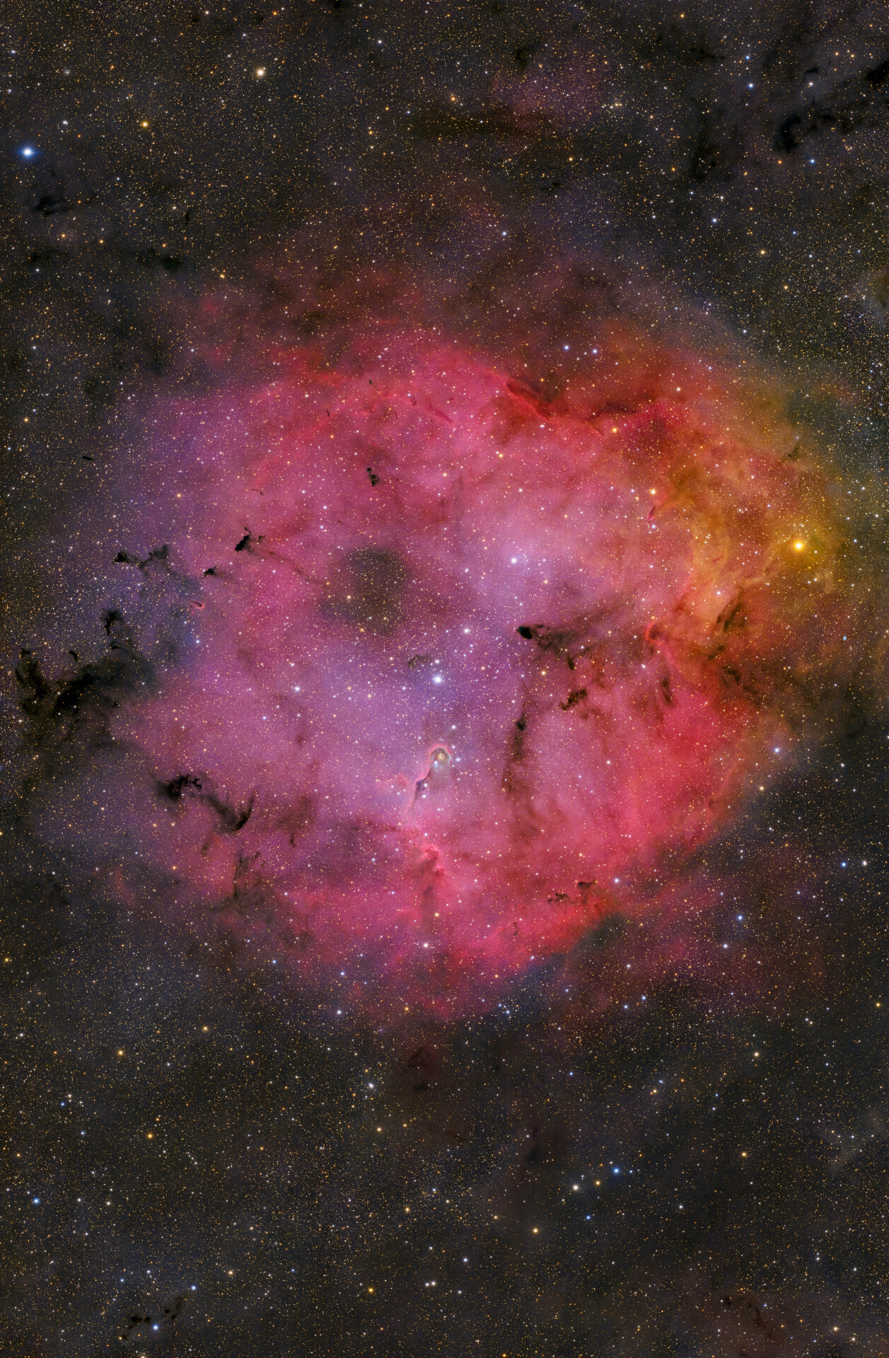 IC1396 象鼻星云真彩