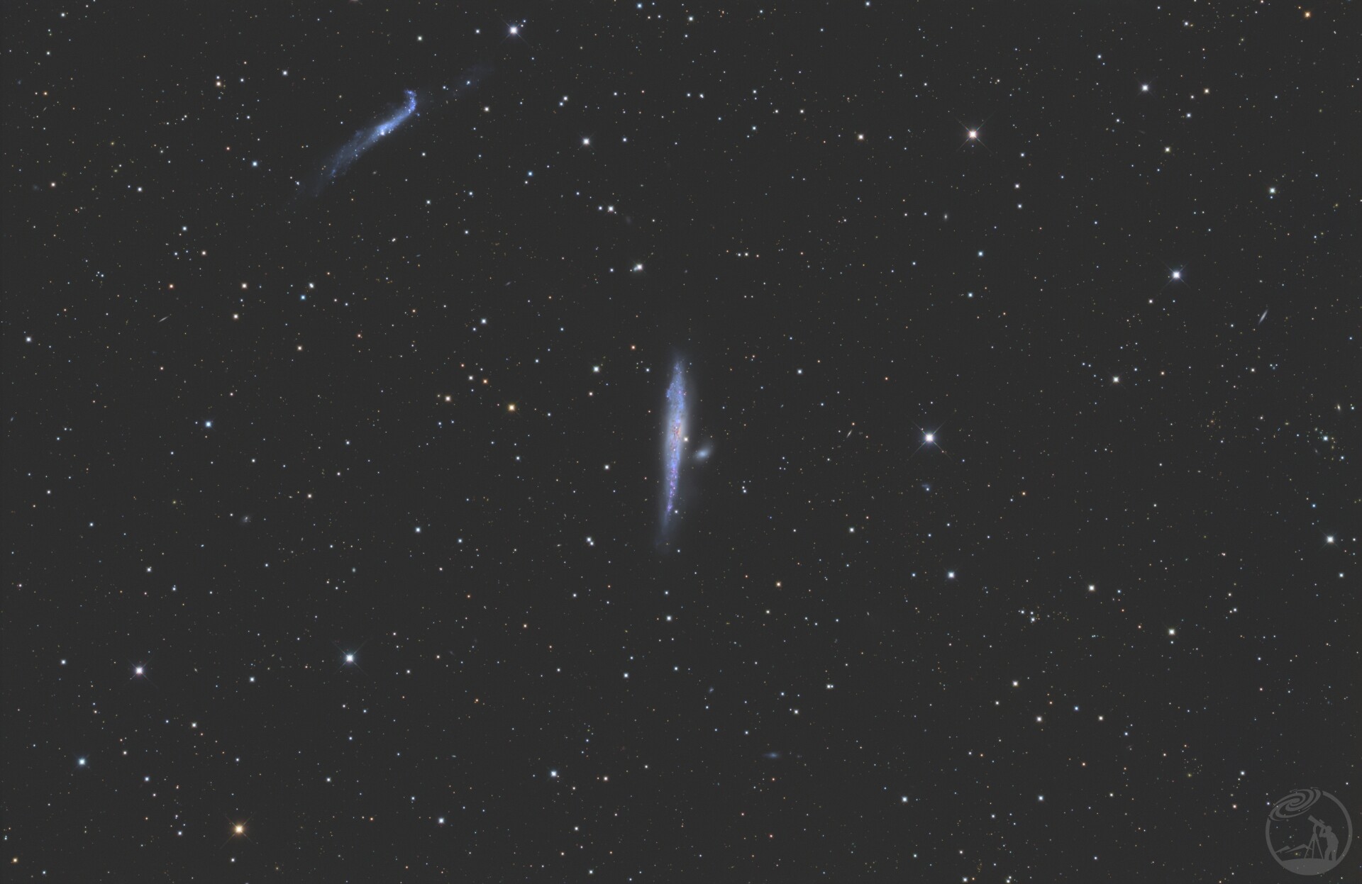 NGC4631