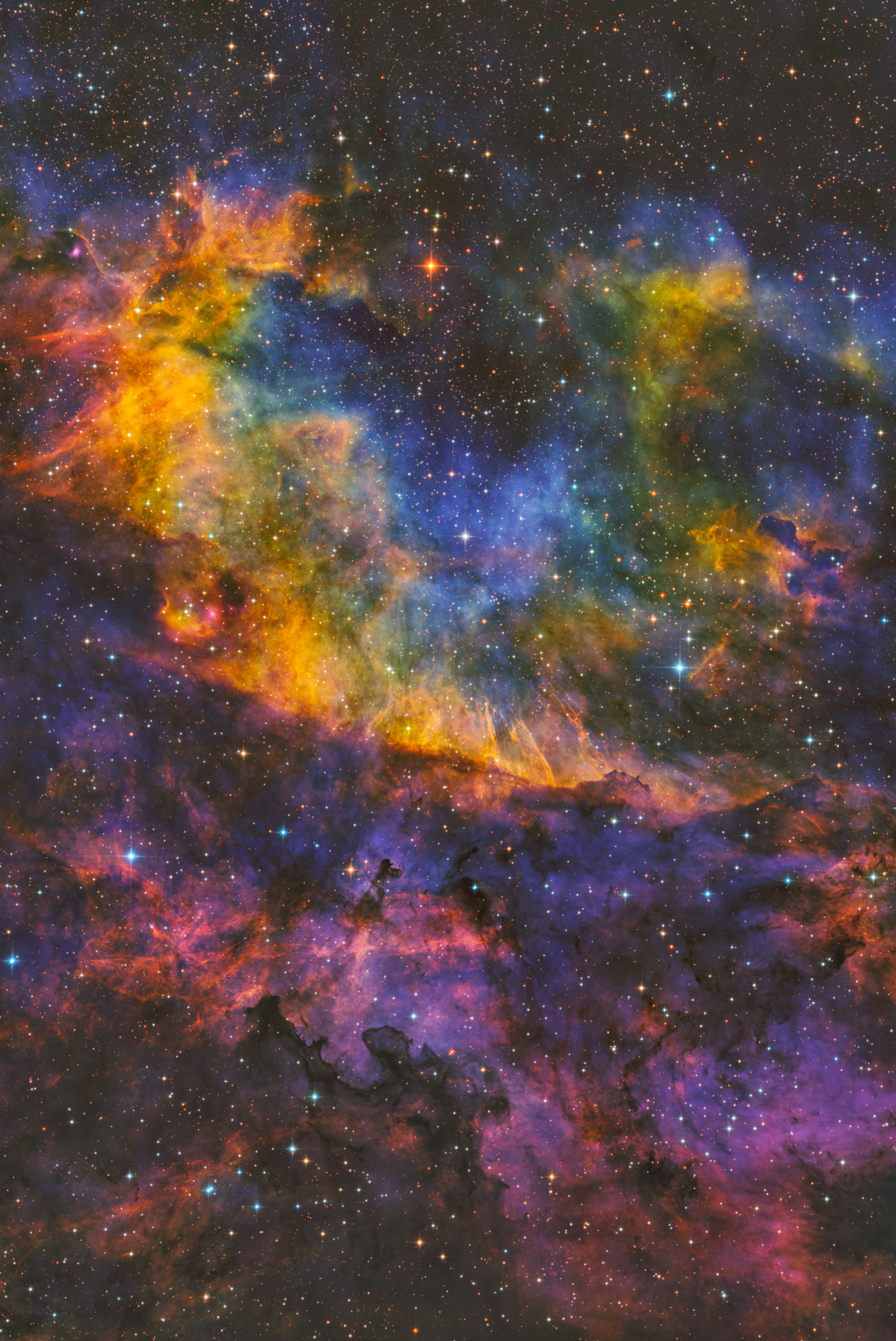 「小众目标」VDB 130 七彩大虾