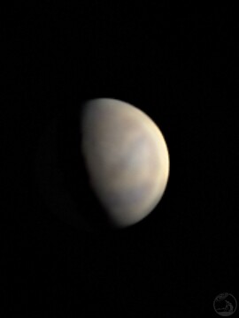 7月24日金星可见光
