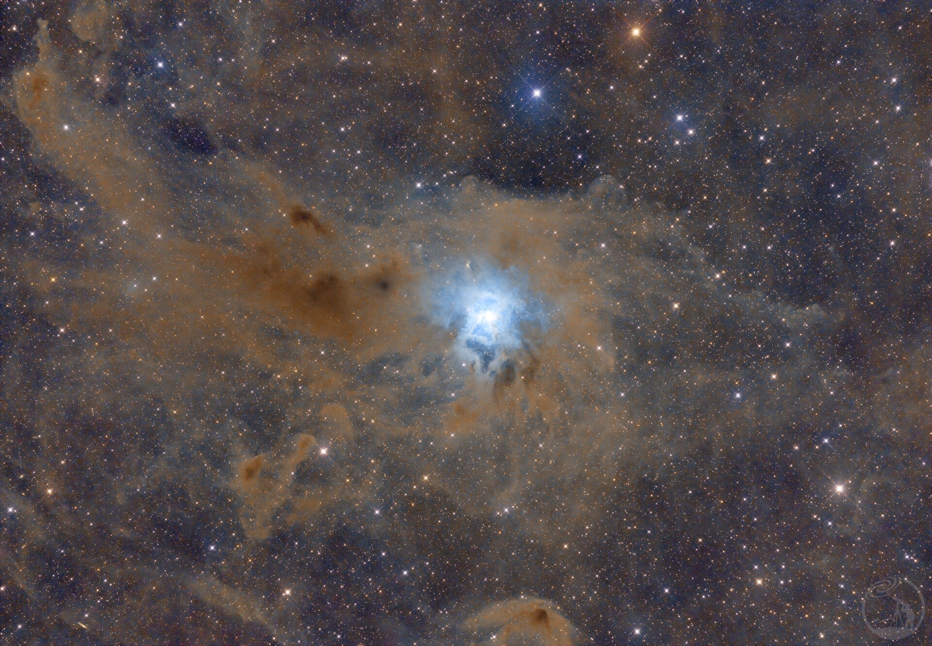 鸢尾花星云