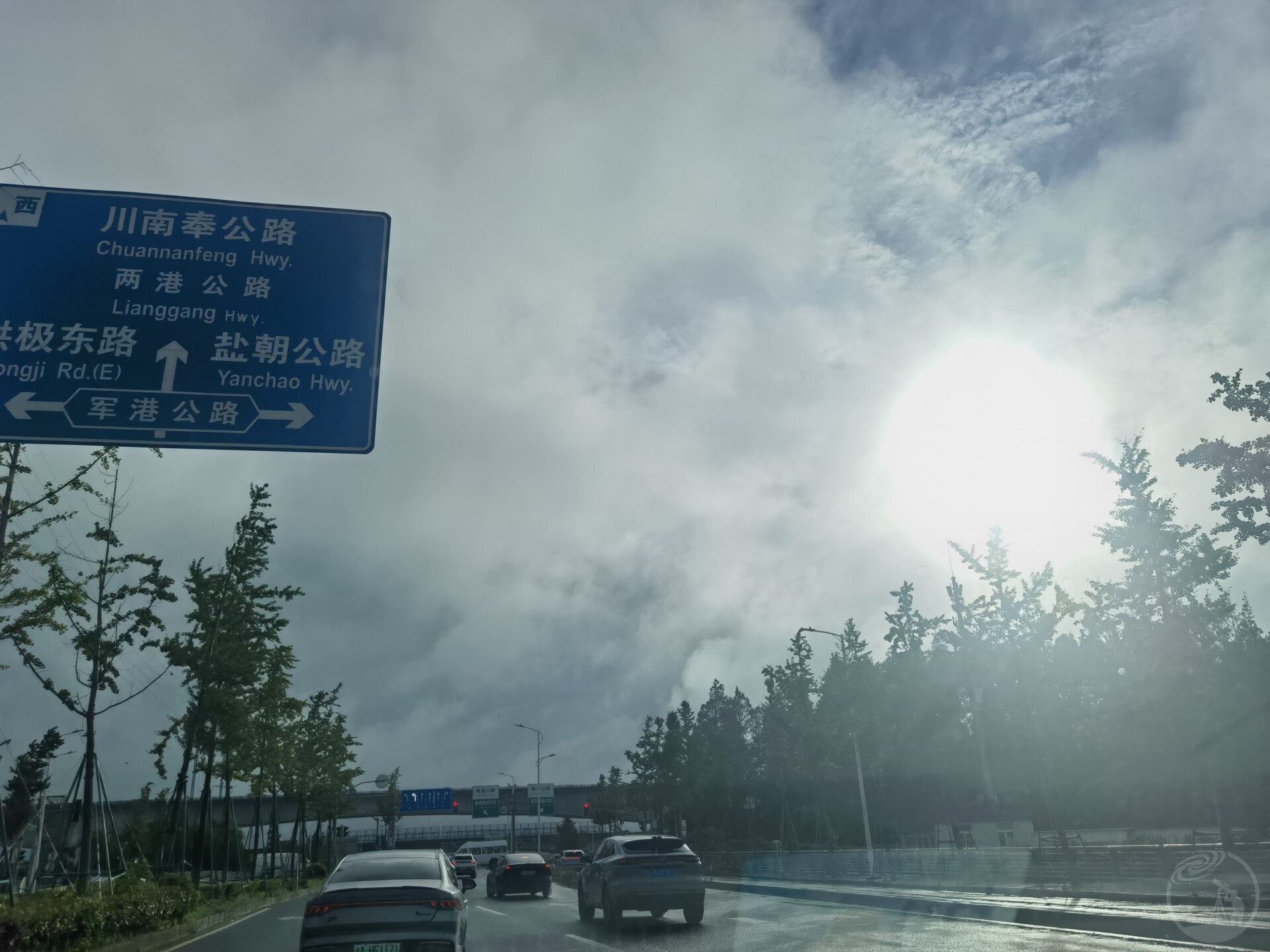 竹节草之眼