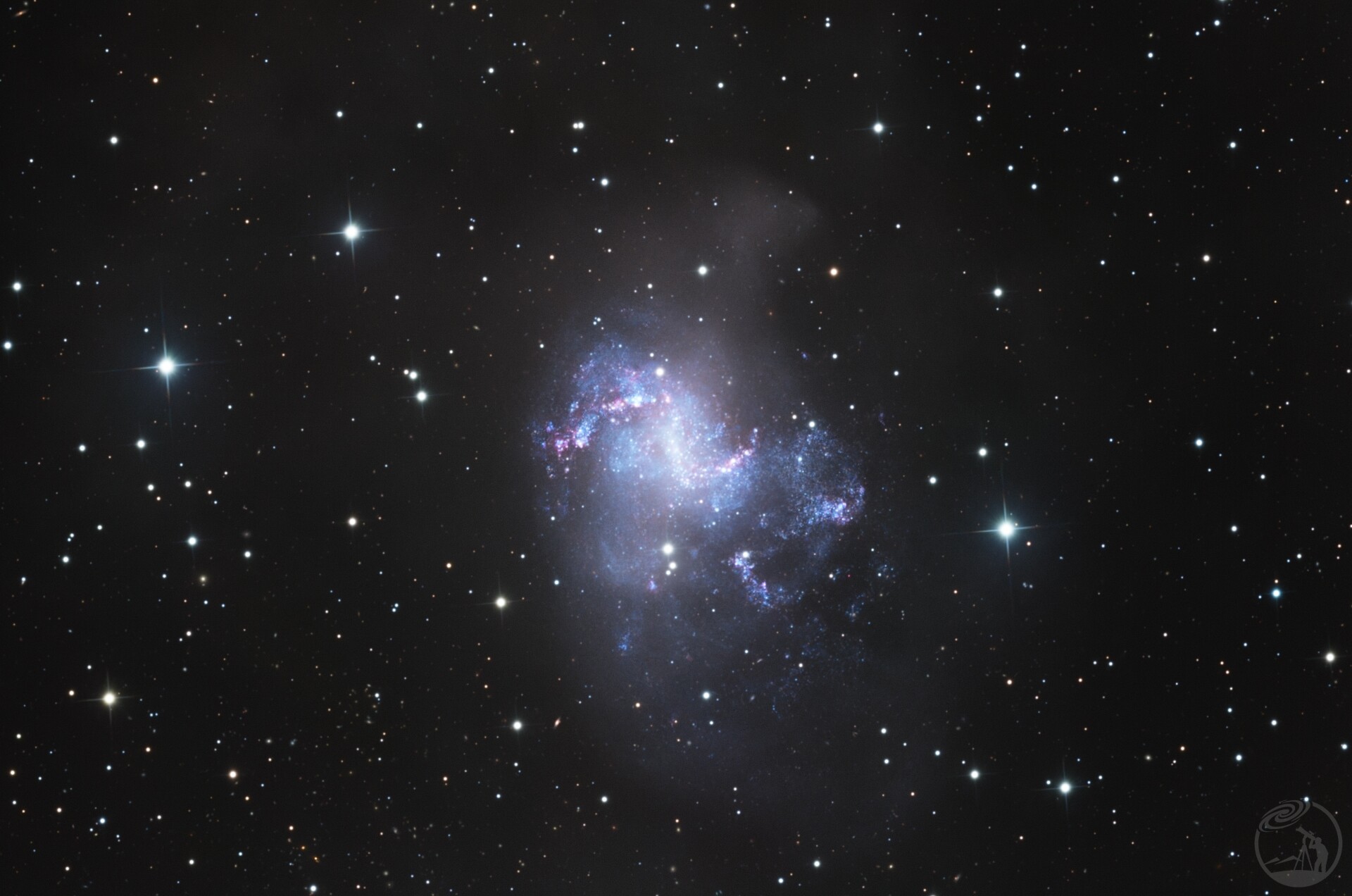 NGC 1313