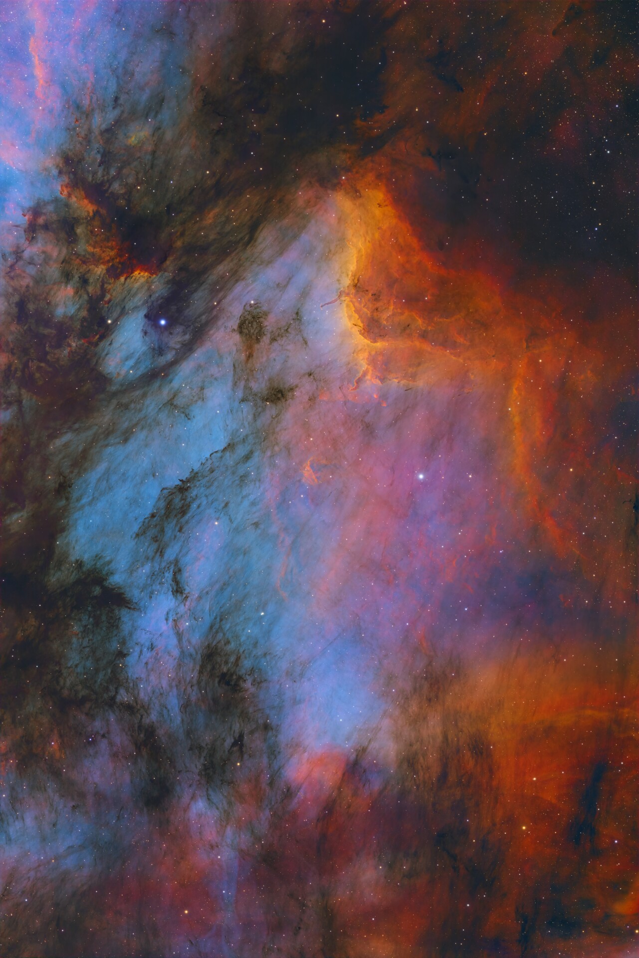 IC5070 鹈鹕星云