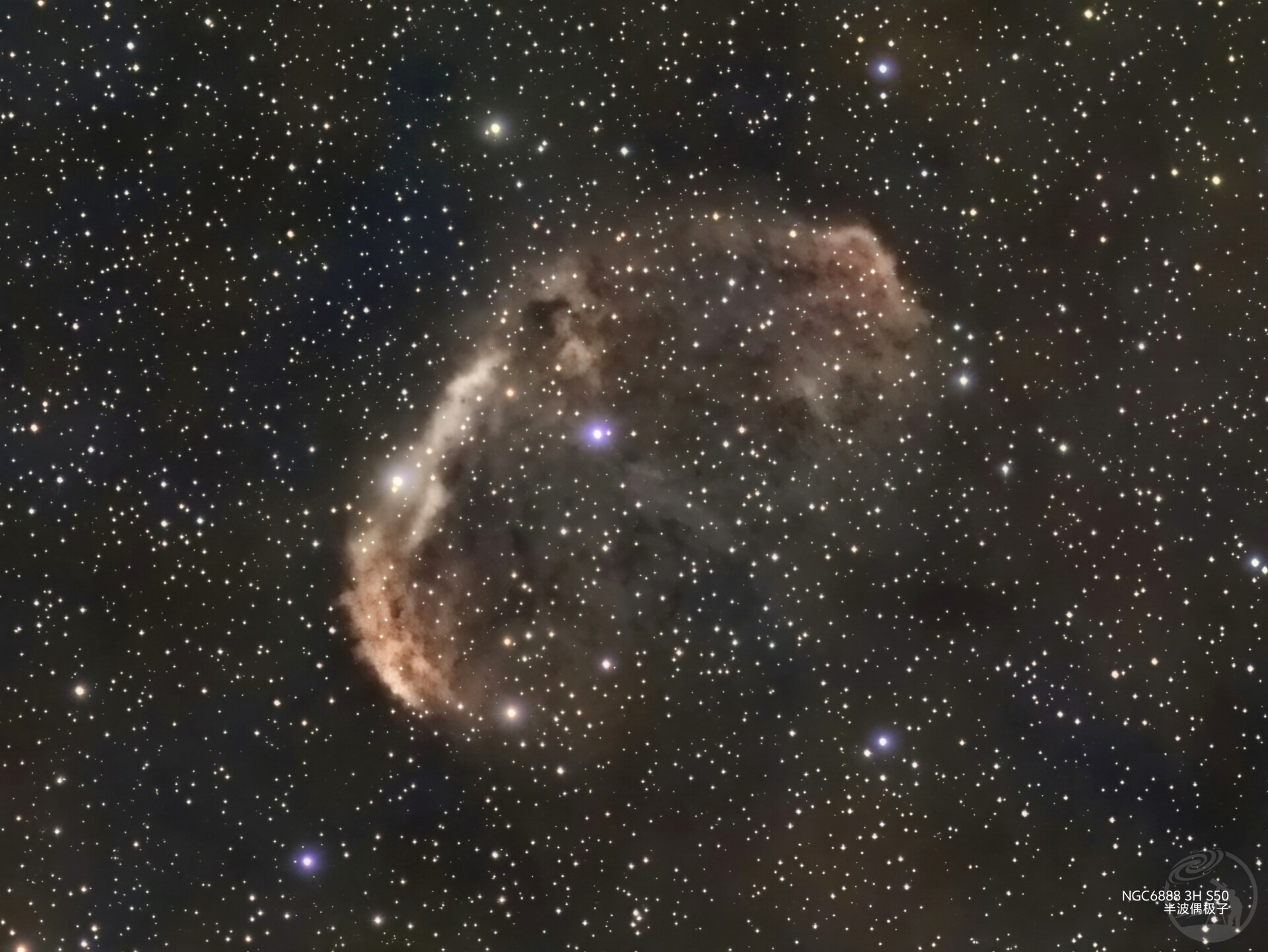 脑花星云