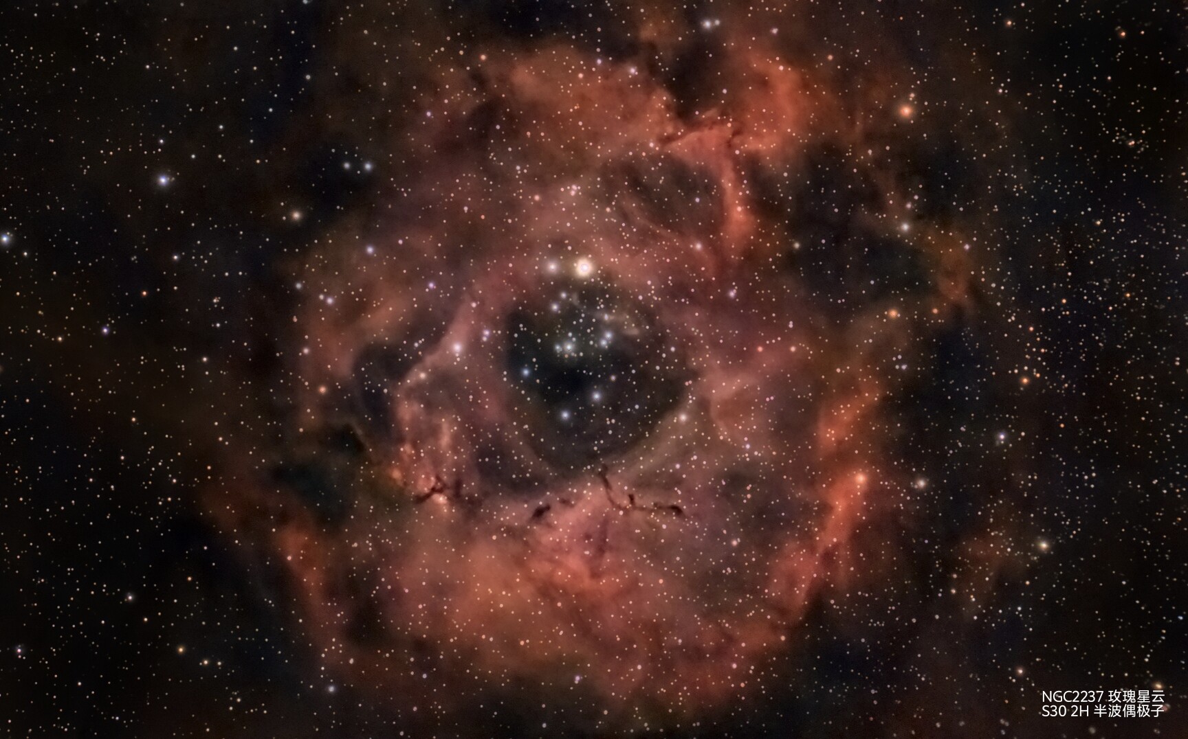 玫瑰星云新修