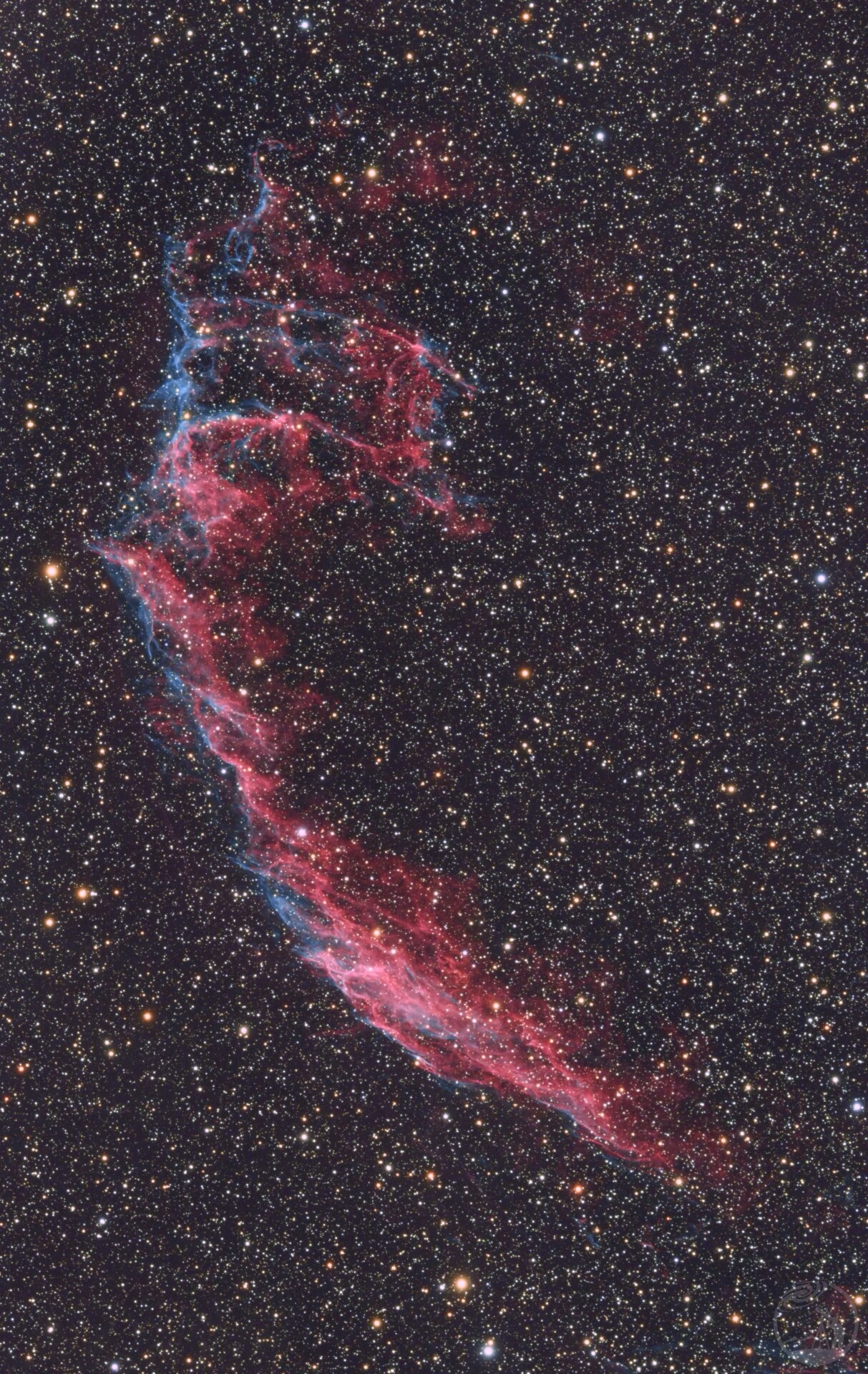 NGC 6992（东面纱）