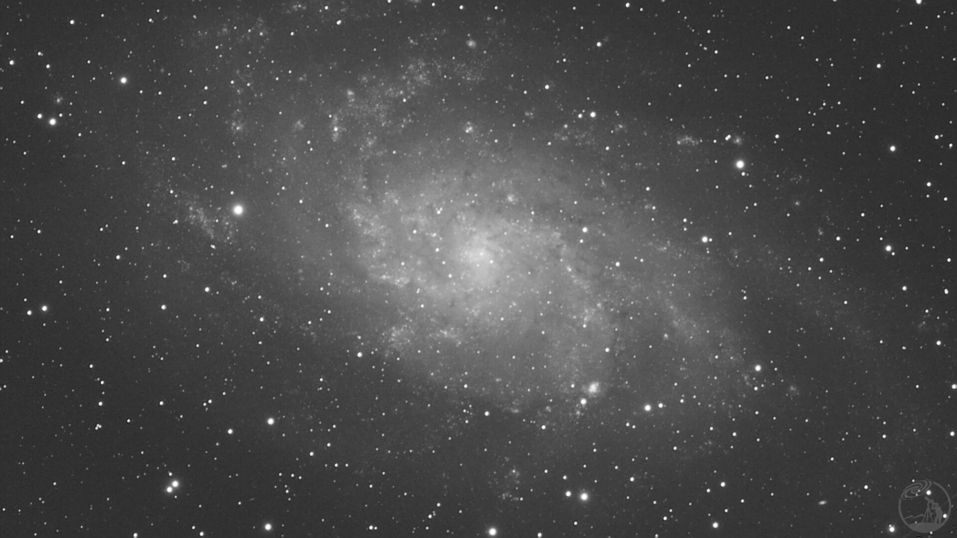 M33 L通道黑白