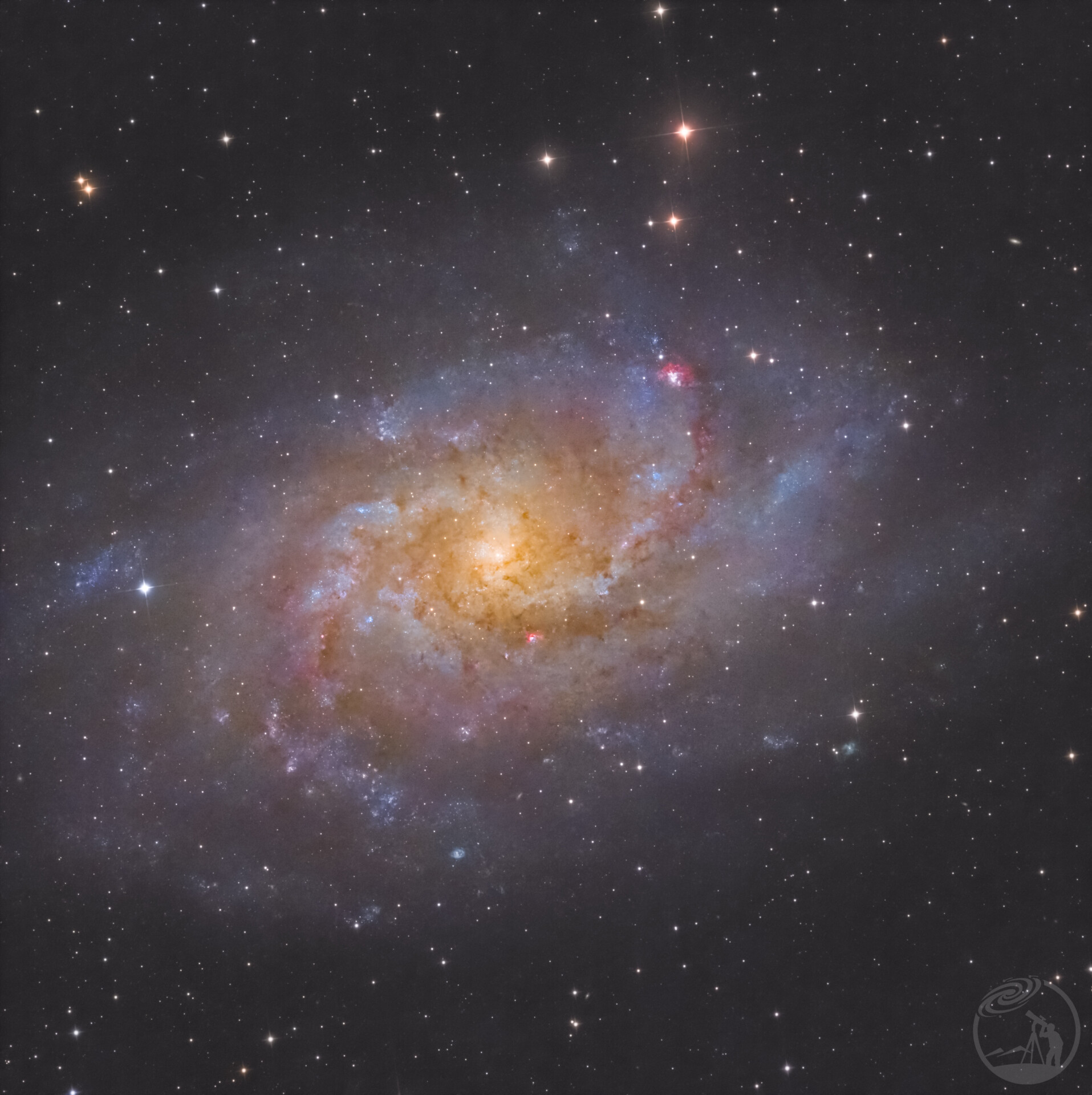 M33