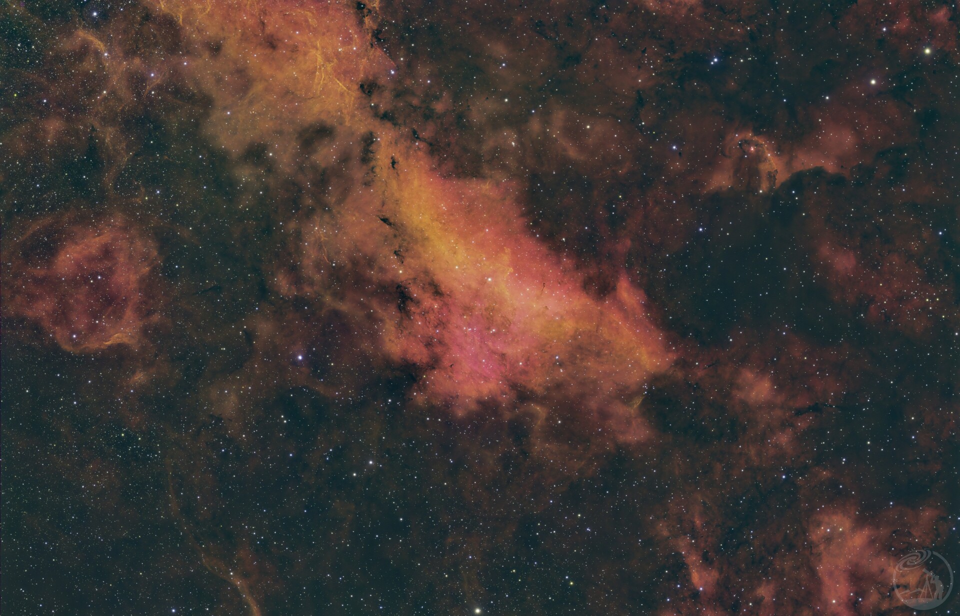 IC1318蝴蝶星云