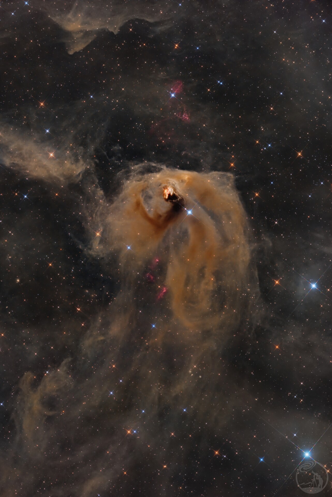 NGC1555