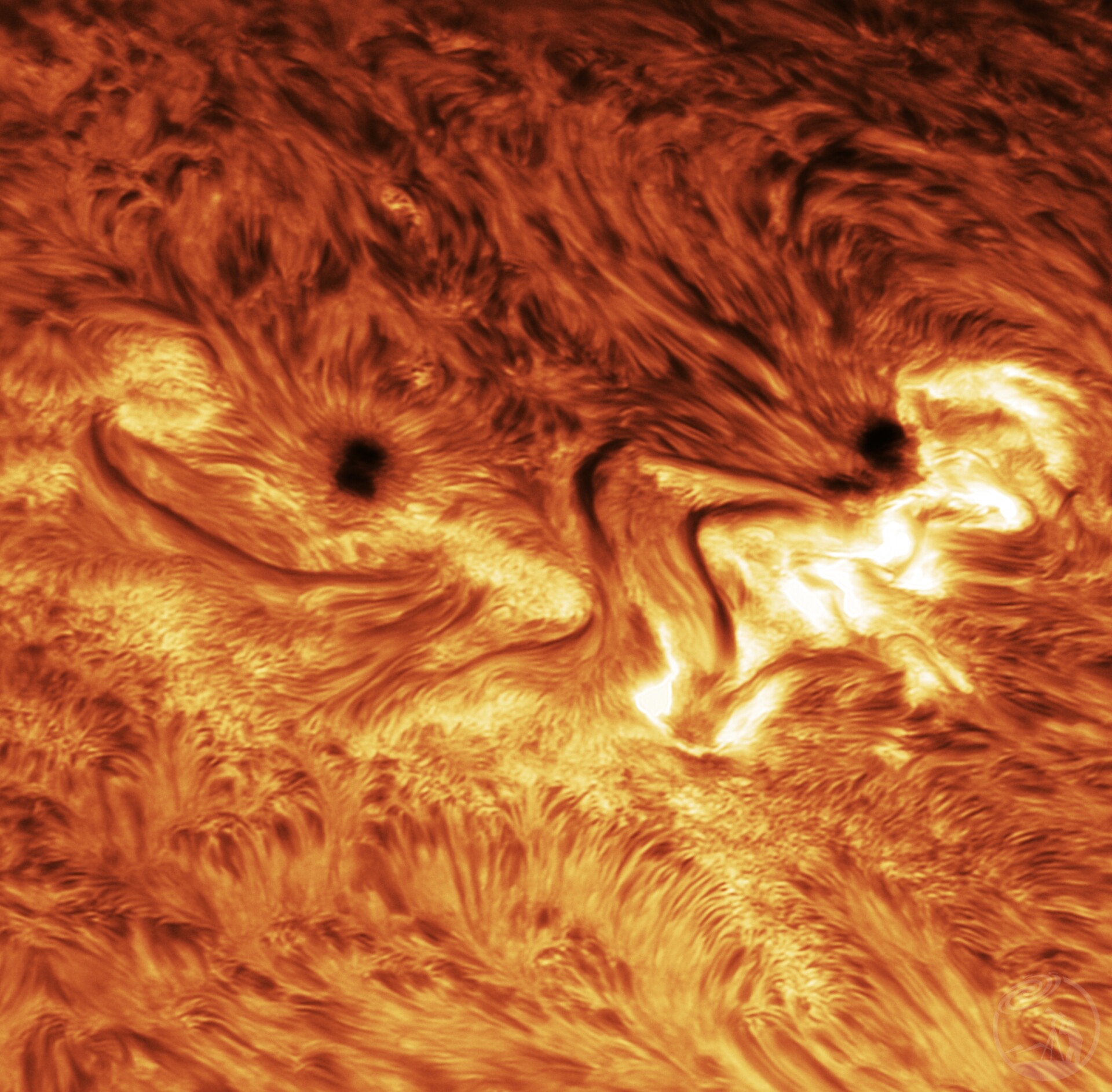 AR 4168 in Ha 08-09