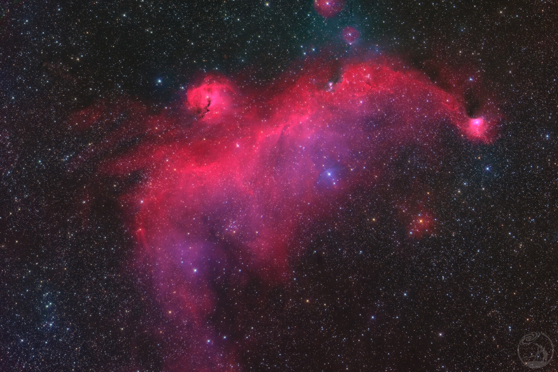 飞翔于宇宙的绯色海鸥