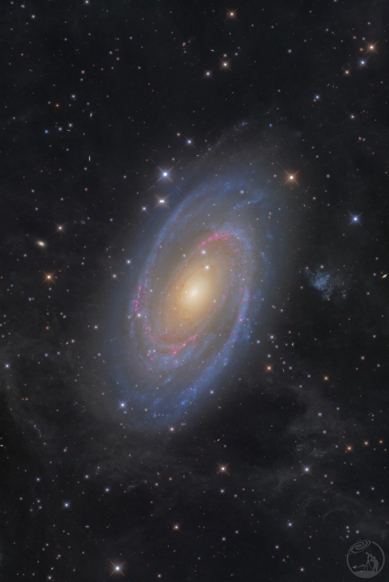 M81