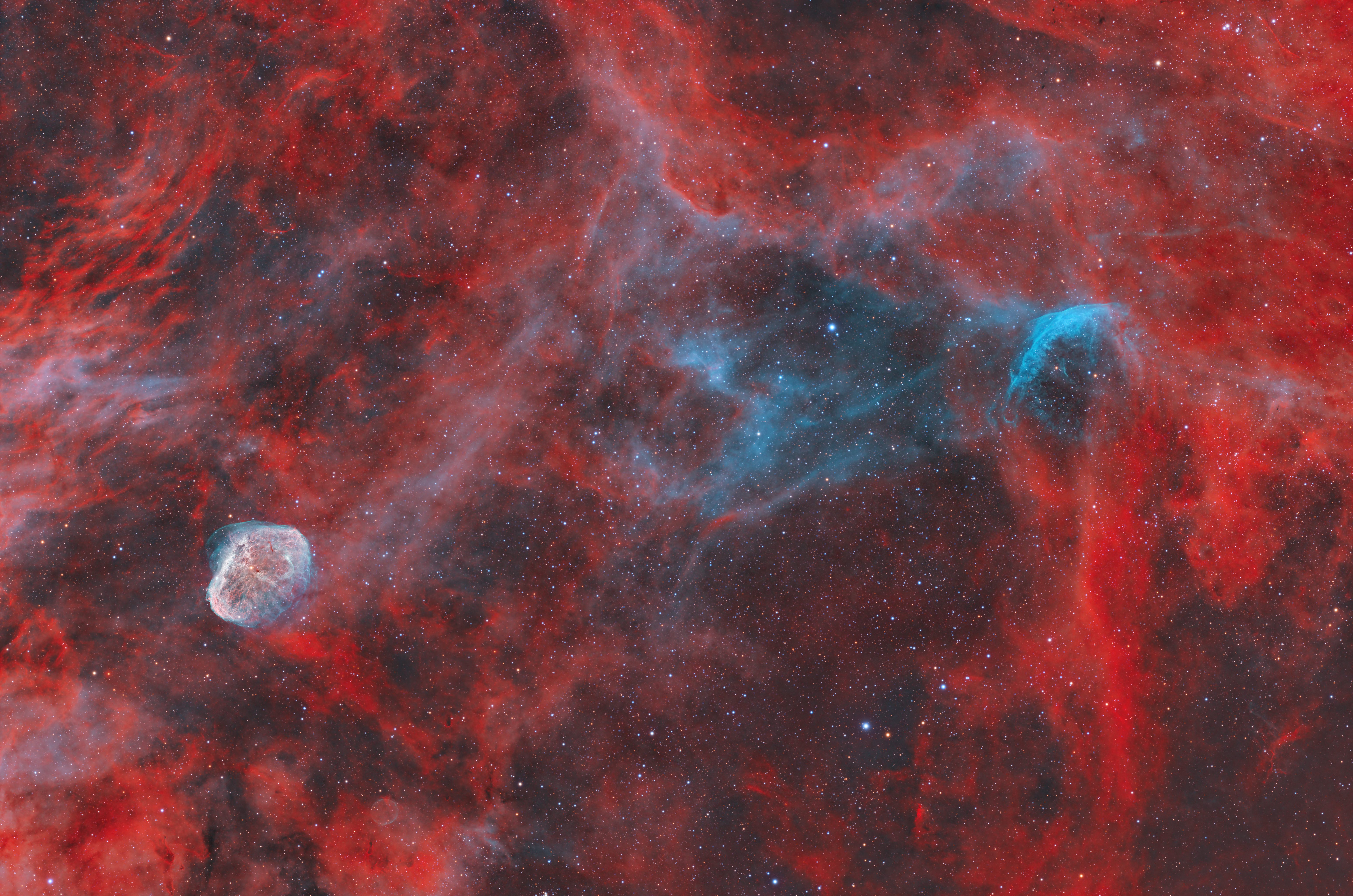 打野两晚的眉月与wr134的合影