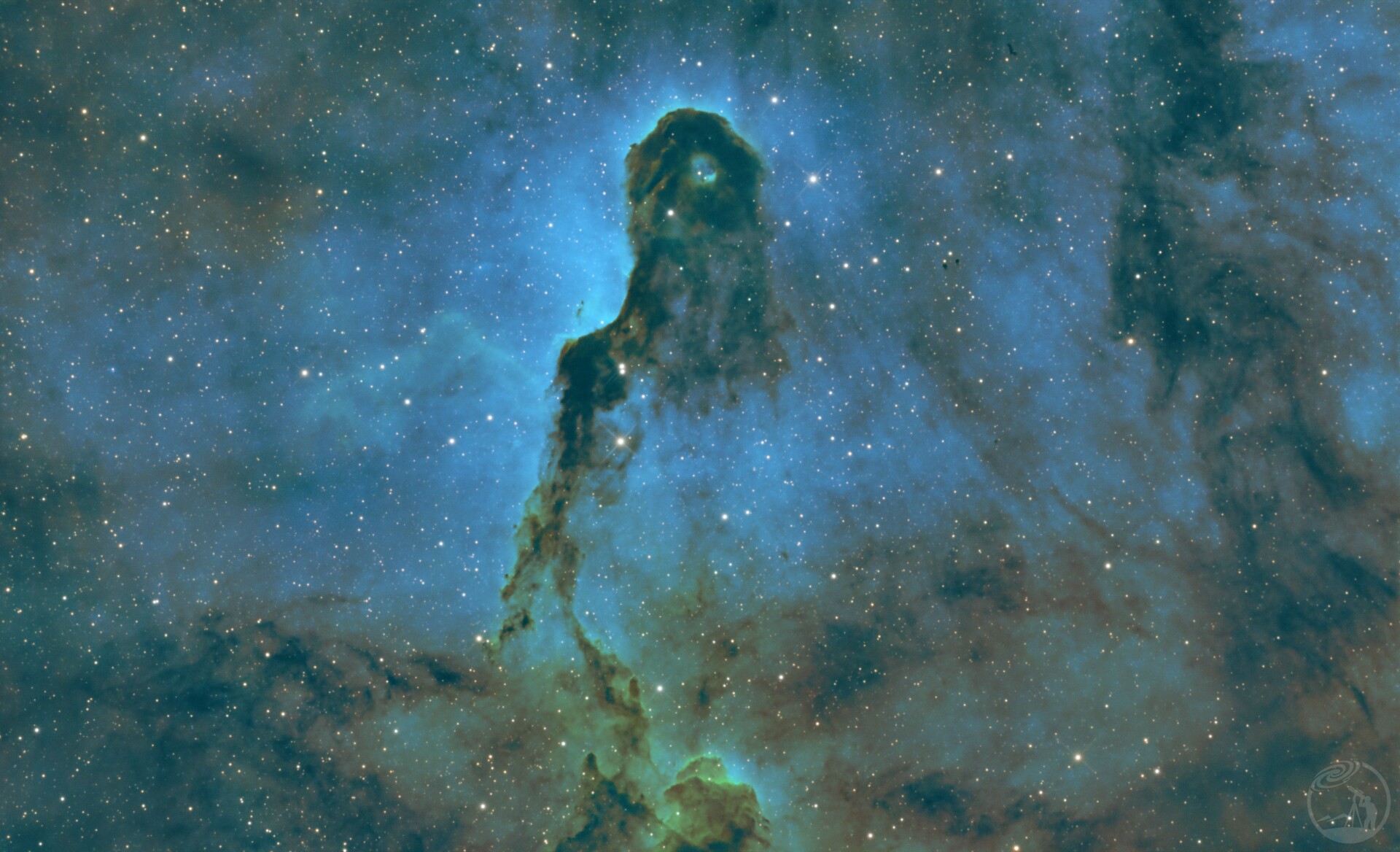 象鼻星云特写