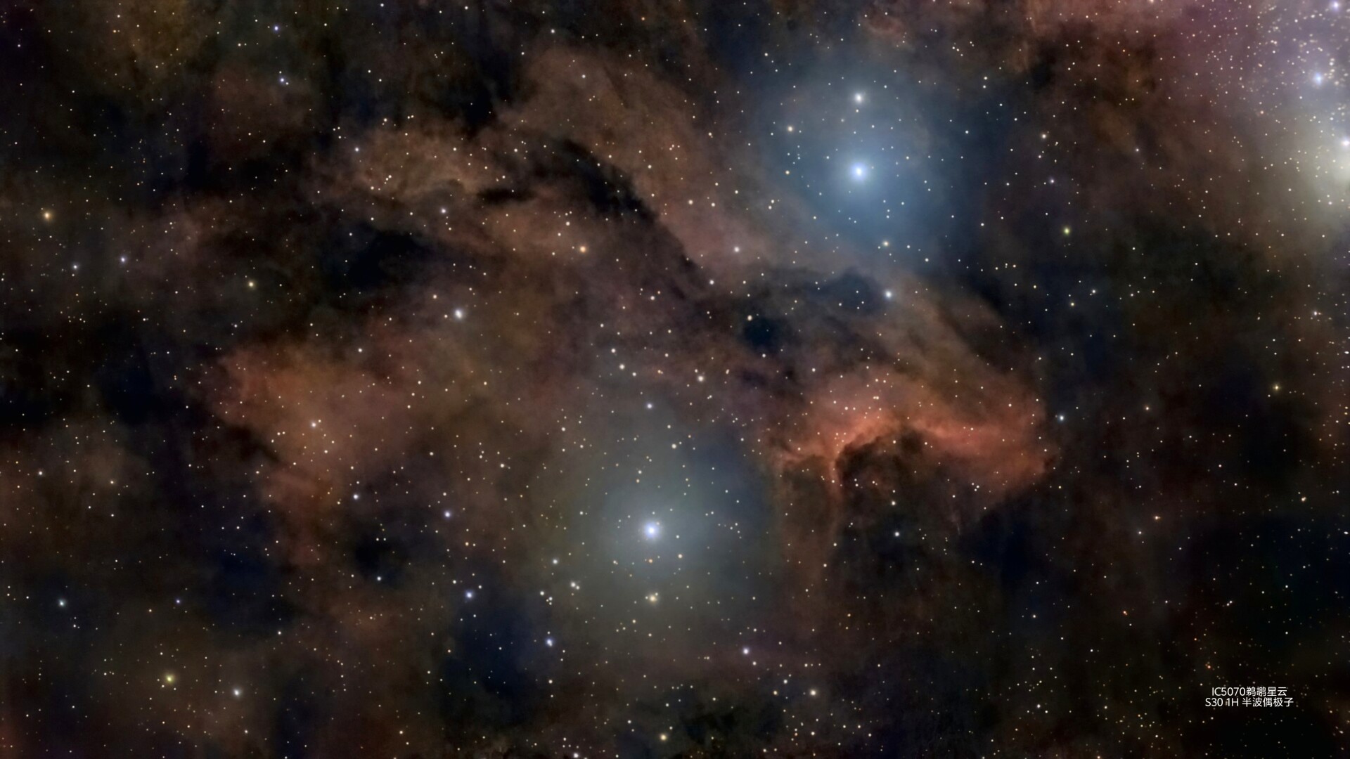 鹈鹕星云ic5070