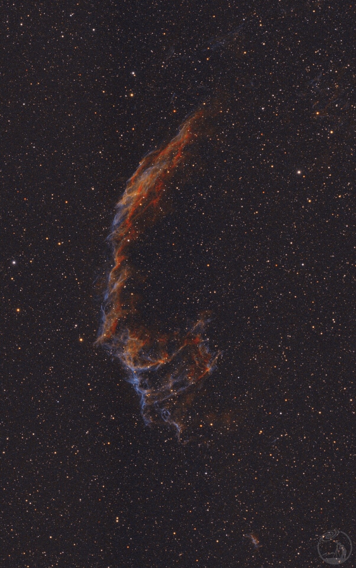 C33
