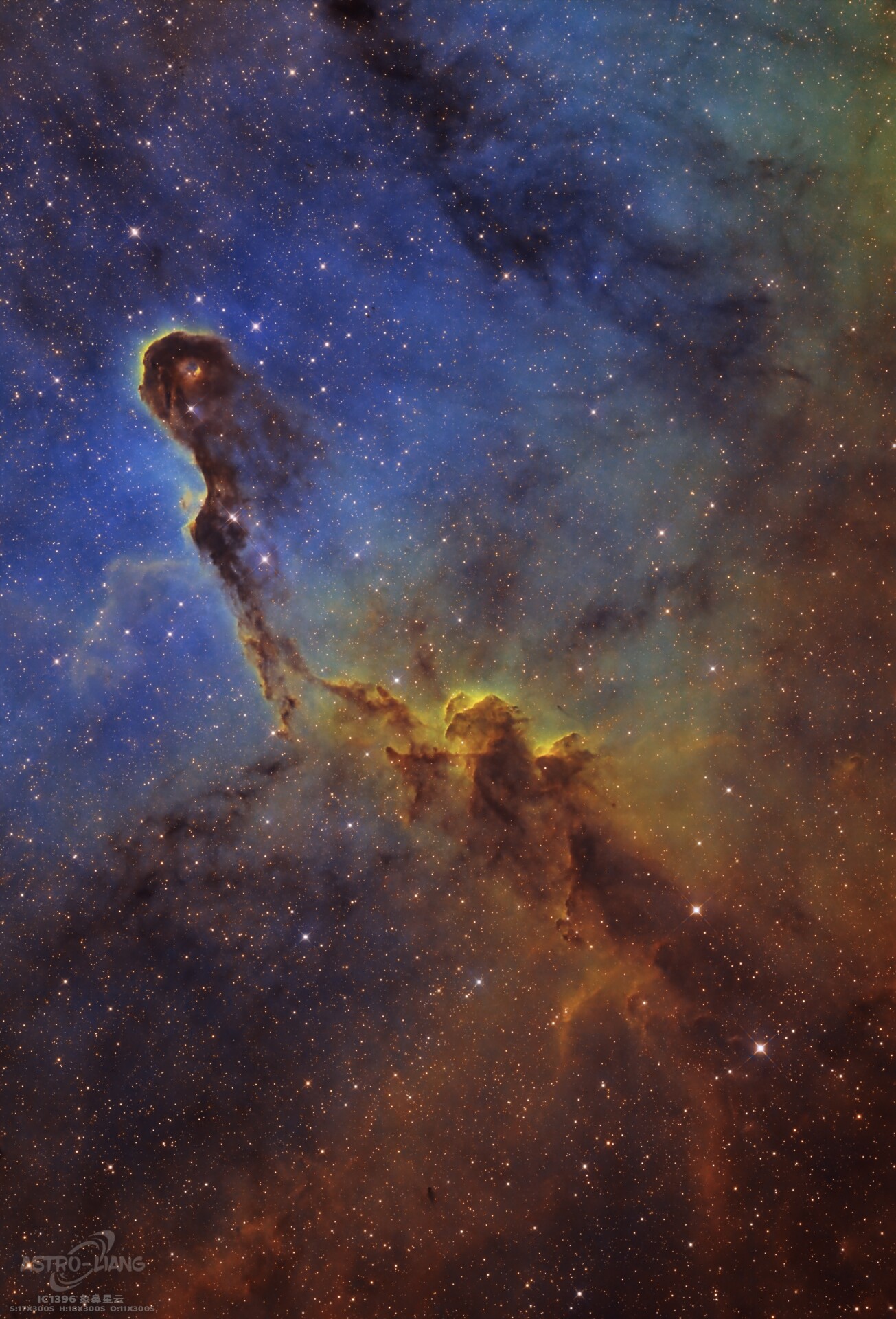 IC1396象鼻星云