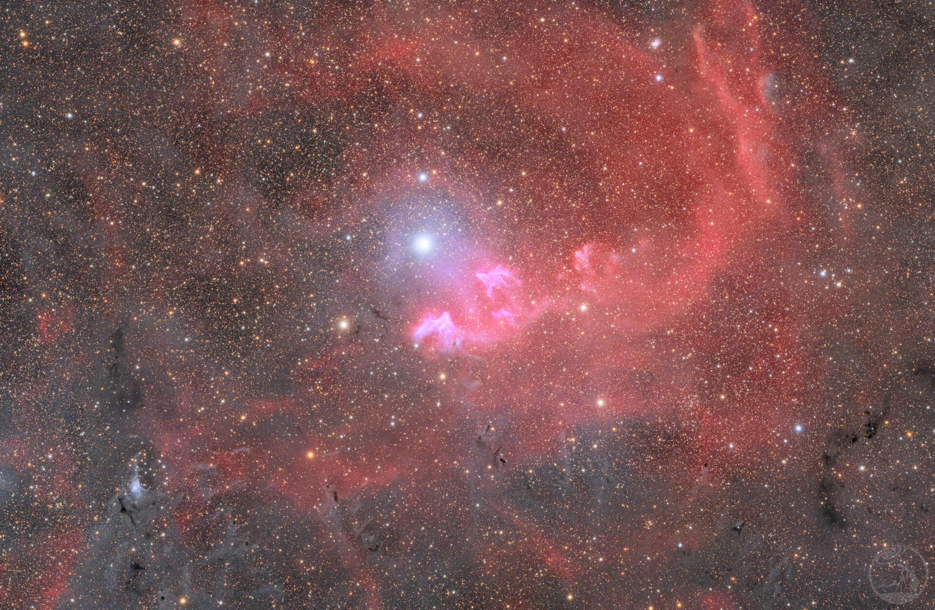 IC63/毒瘴浴火重生的凤凰