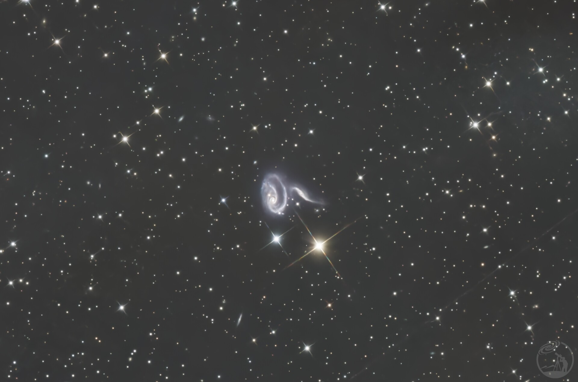 宇宙大玫瑰
