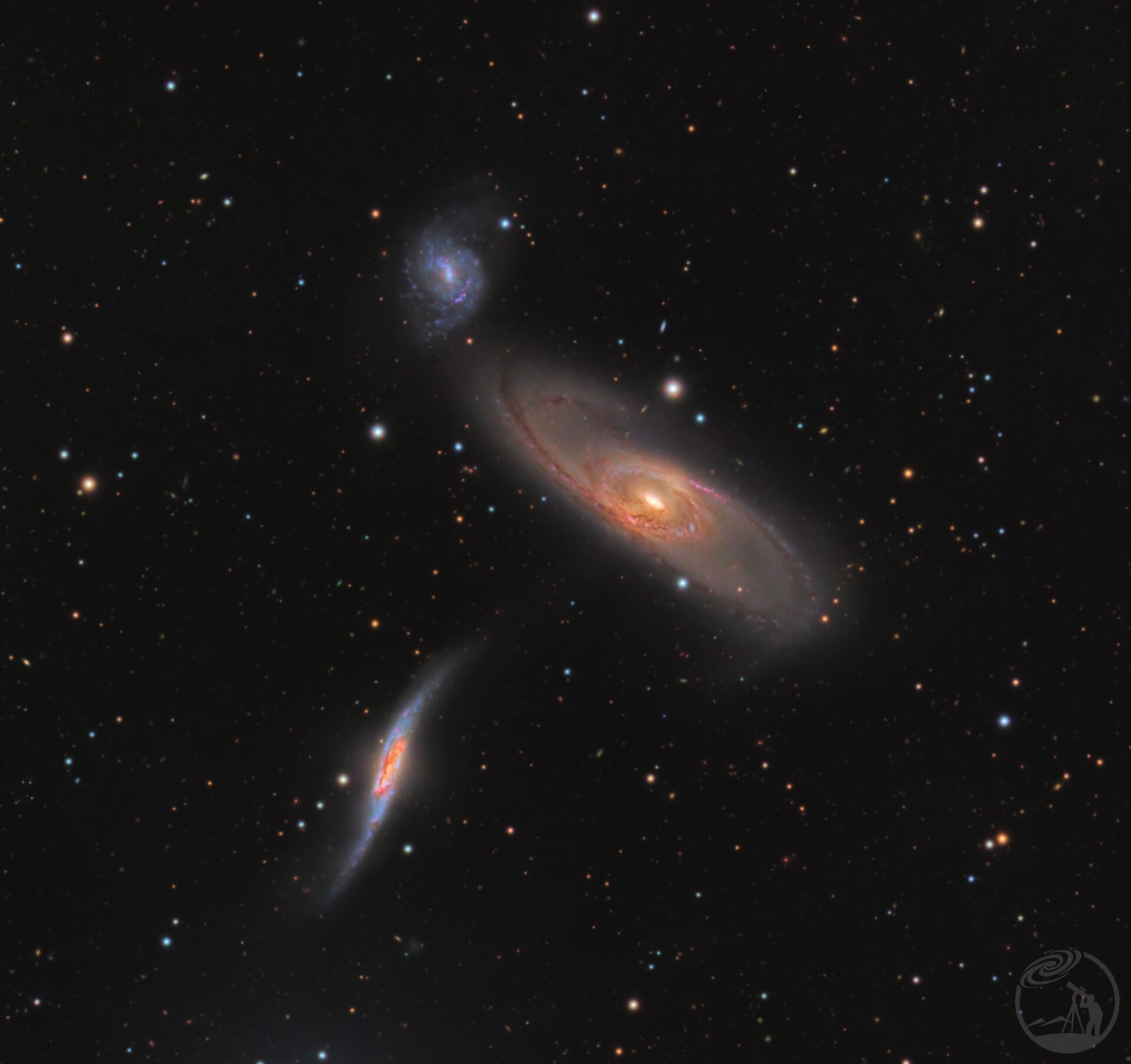 NGC5566