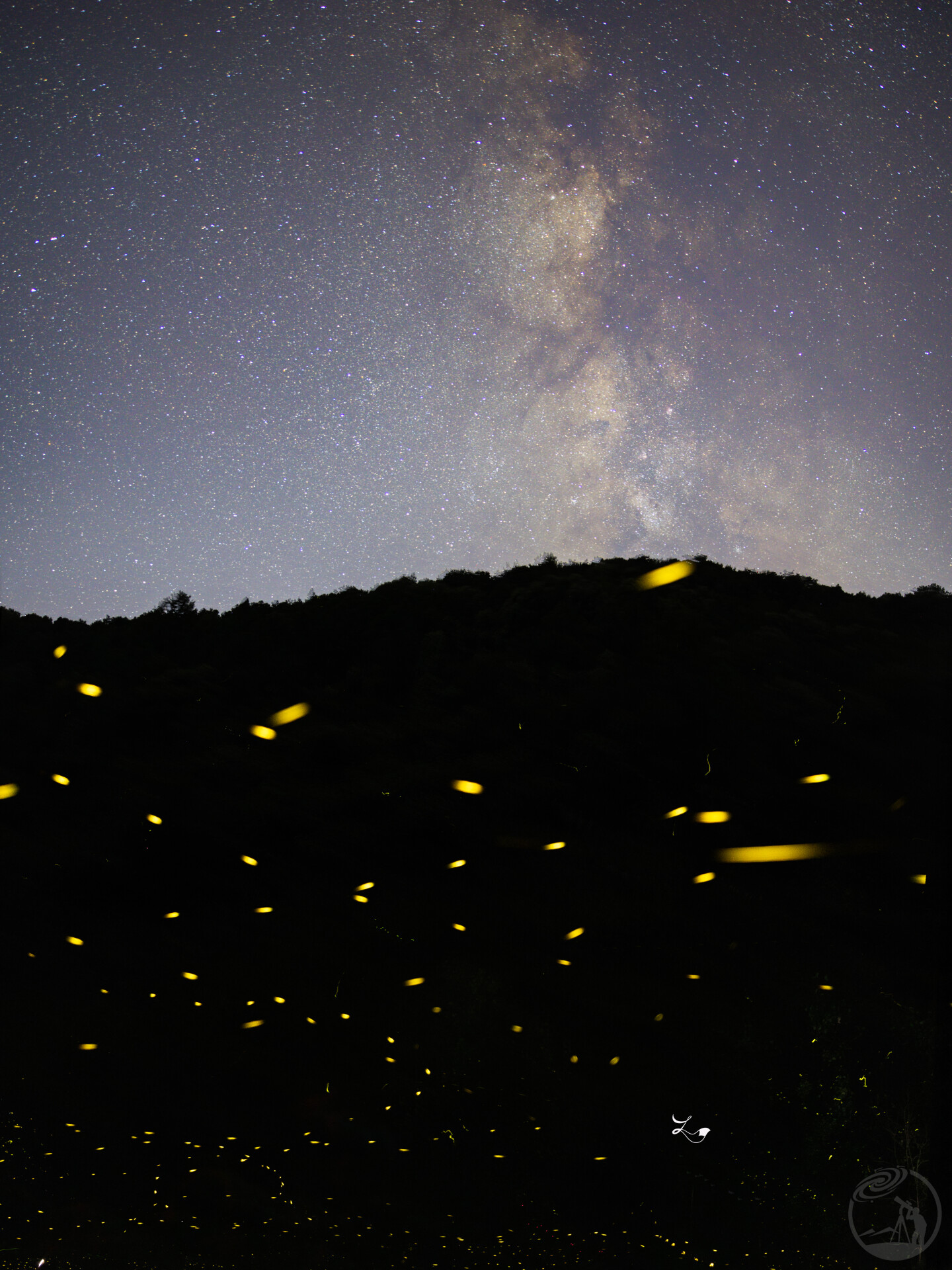 萤火虫上的星空