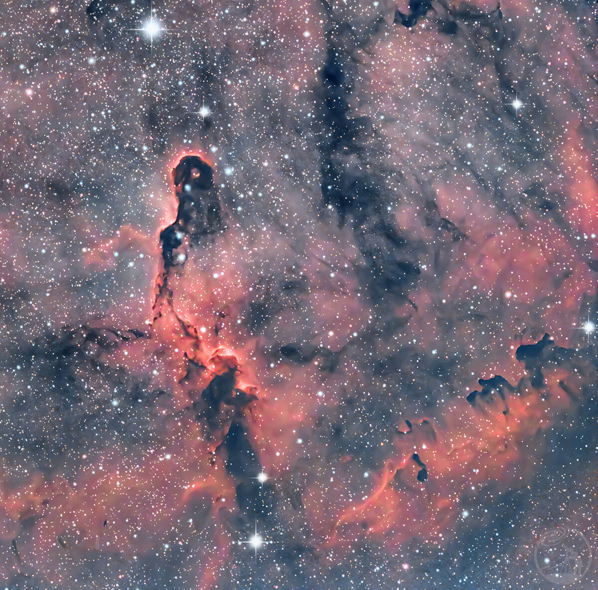 象鼻星云