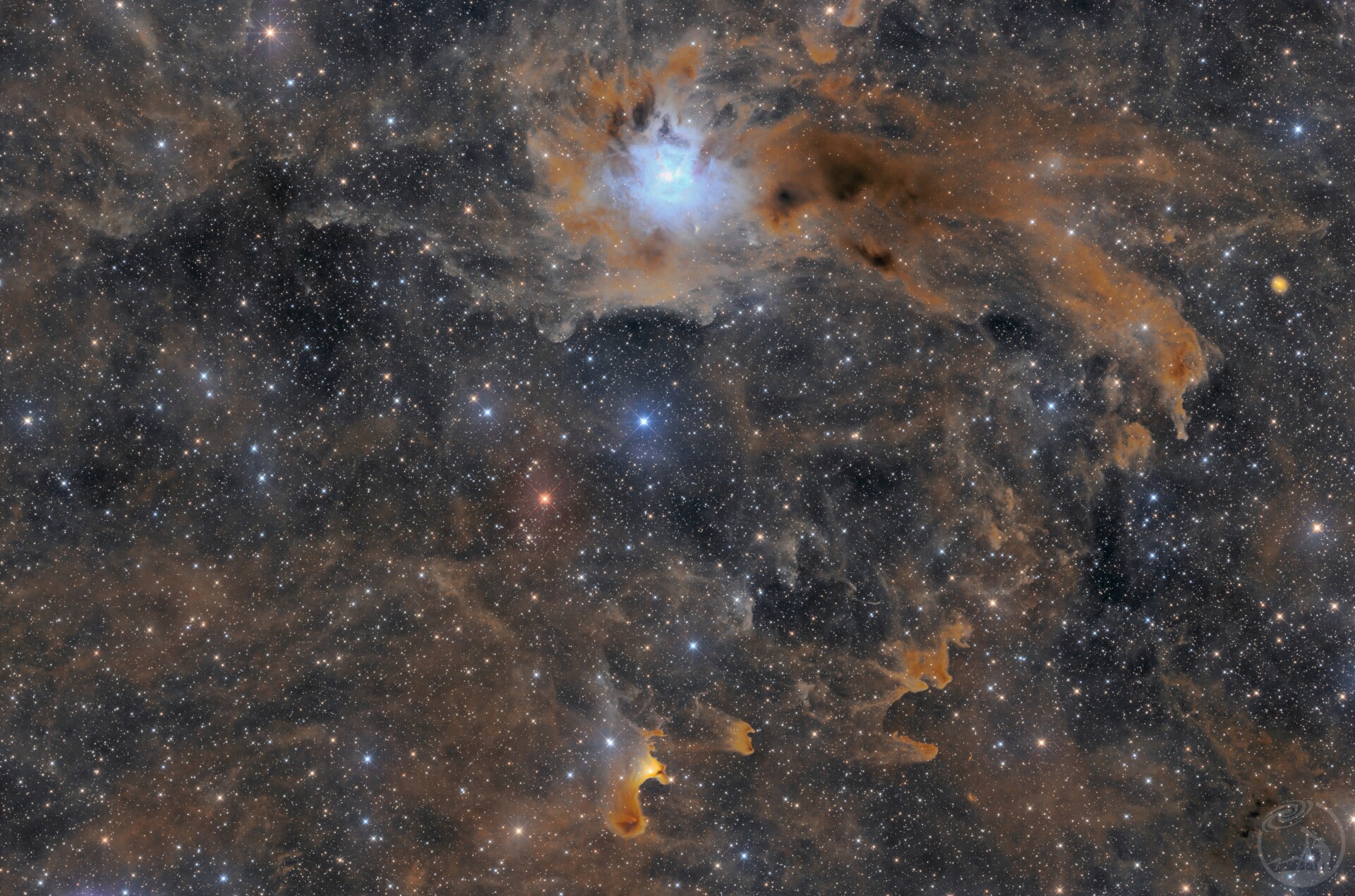 NGC7023鸢尾花 & vdB141鬼魂