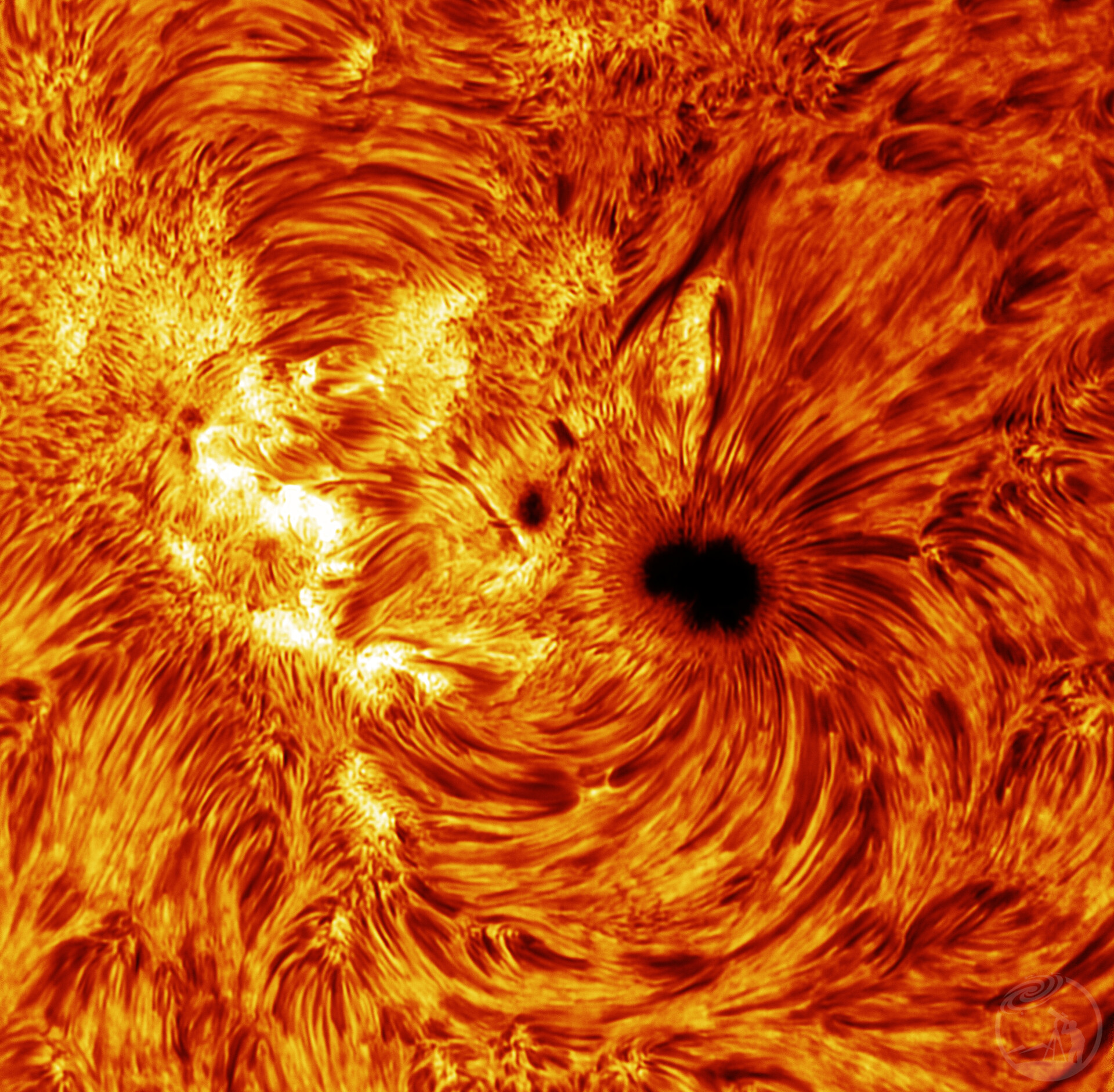 AR4191 in Ha 08-25