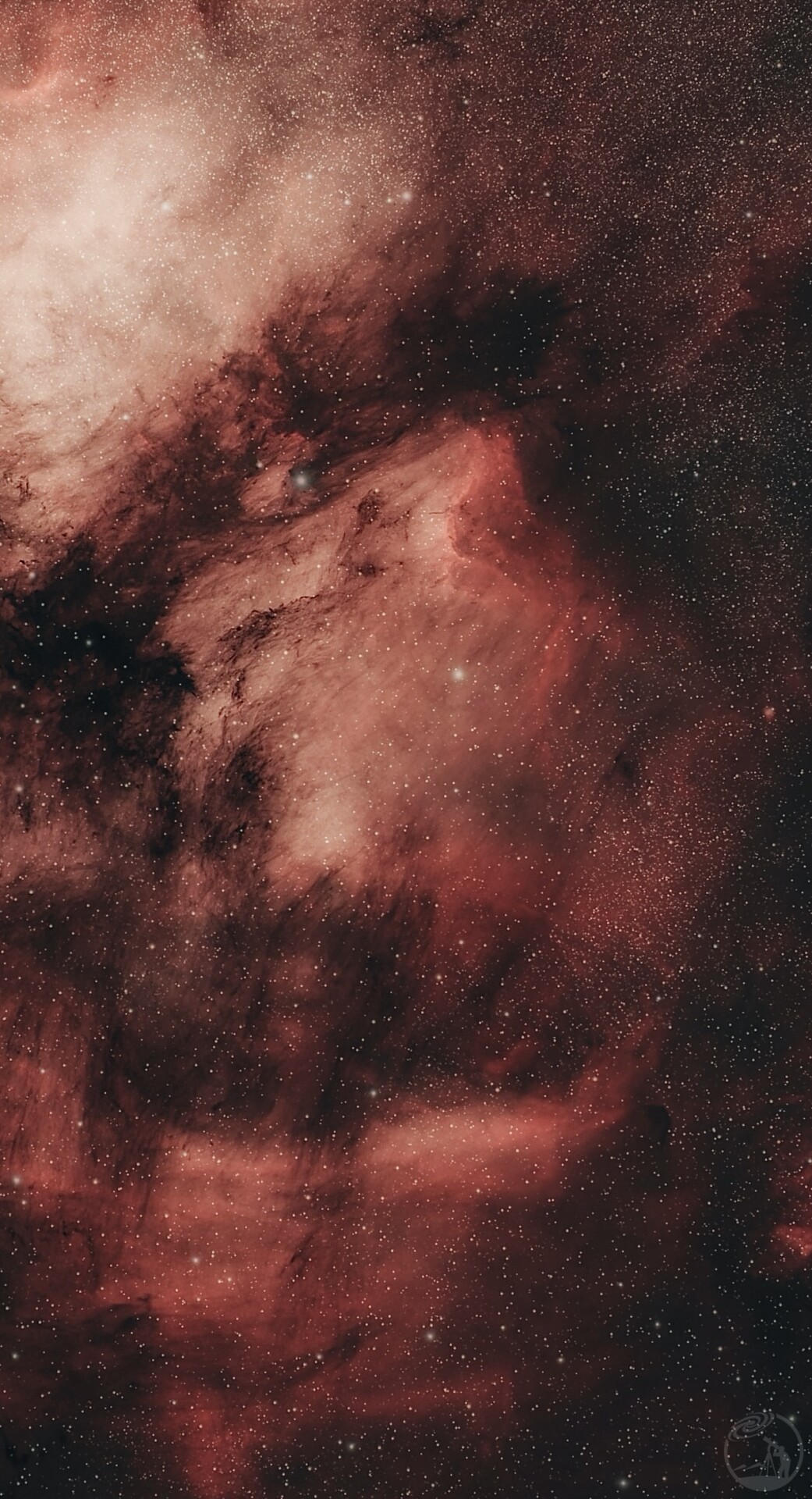IC5070鹈鹕星云