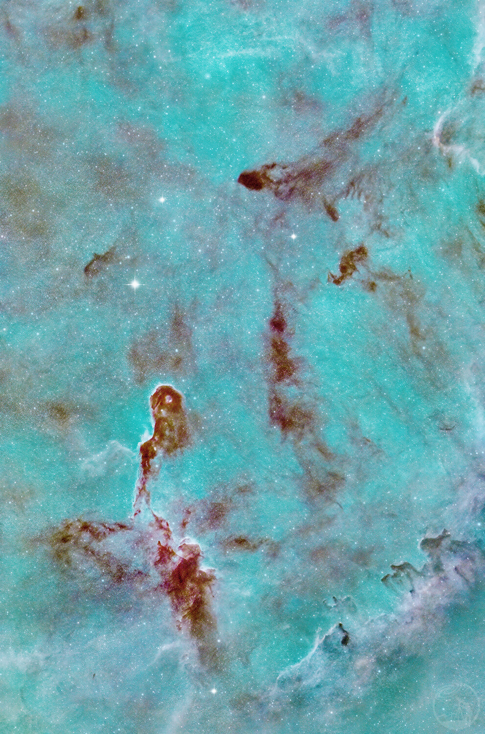 象鼻星云
