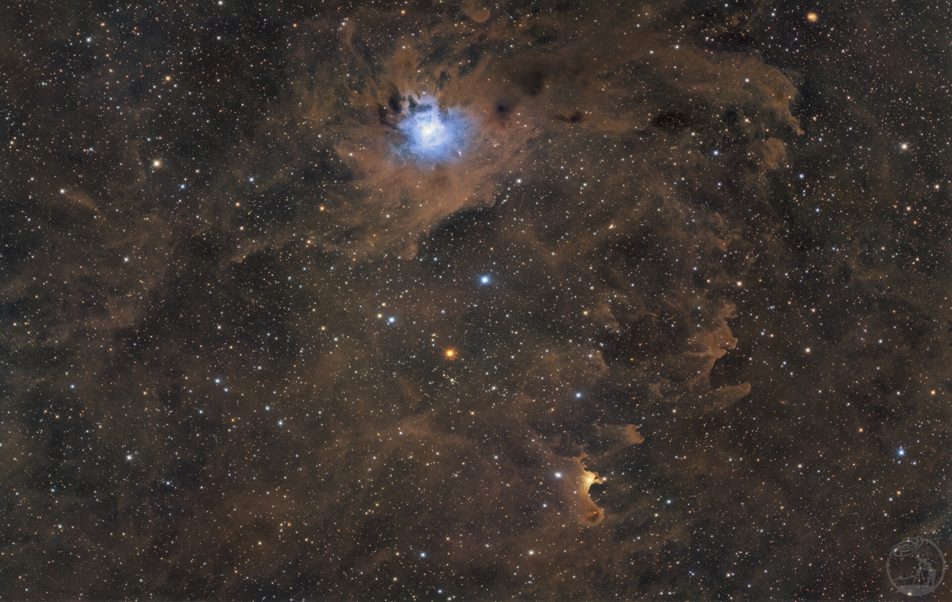 鸢尾花与鬼魂星云合影