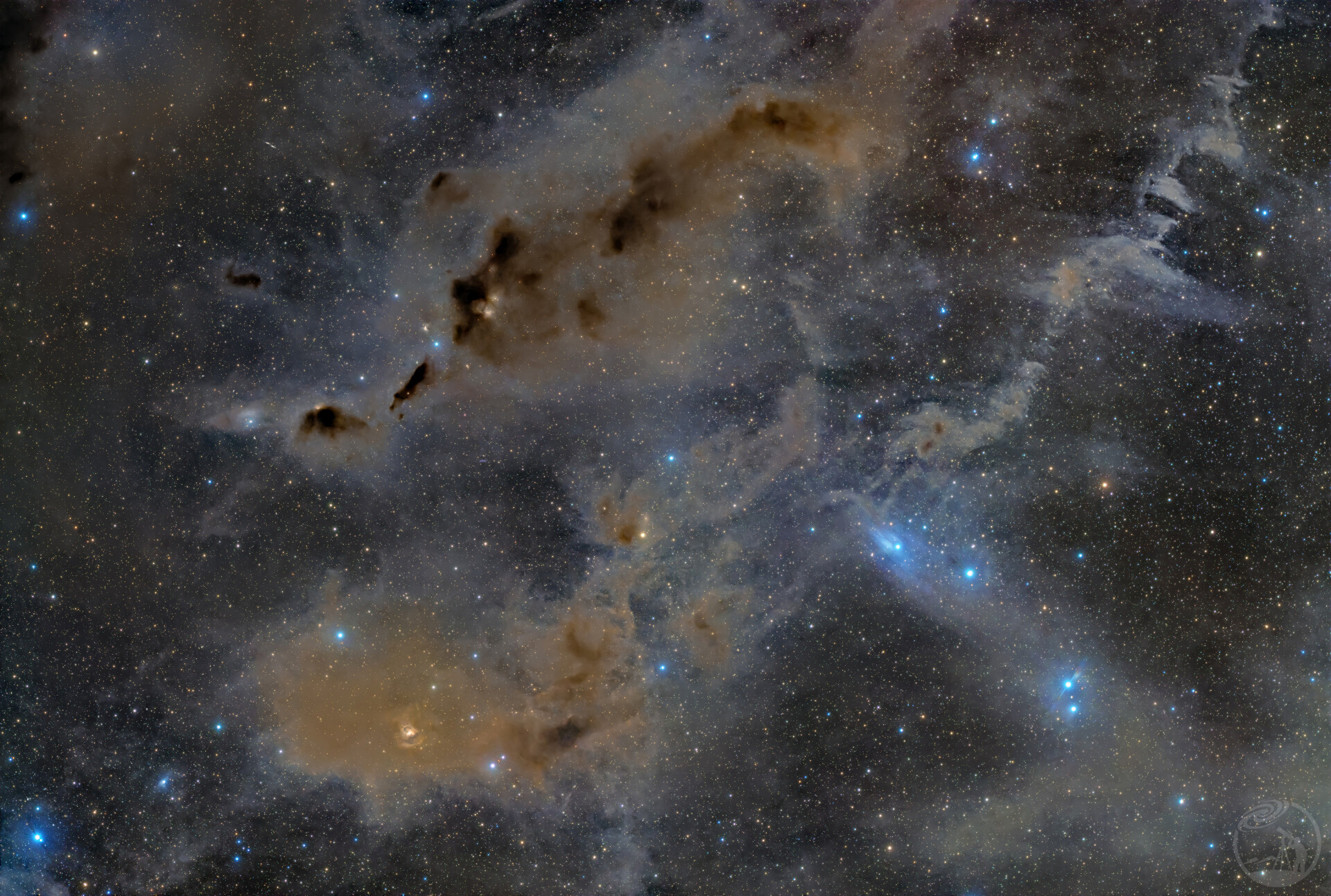 暗影之纱——金牛座分子云LDN1535