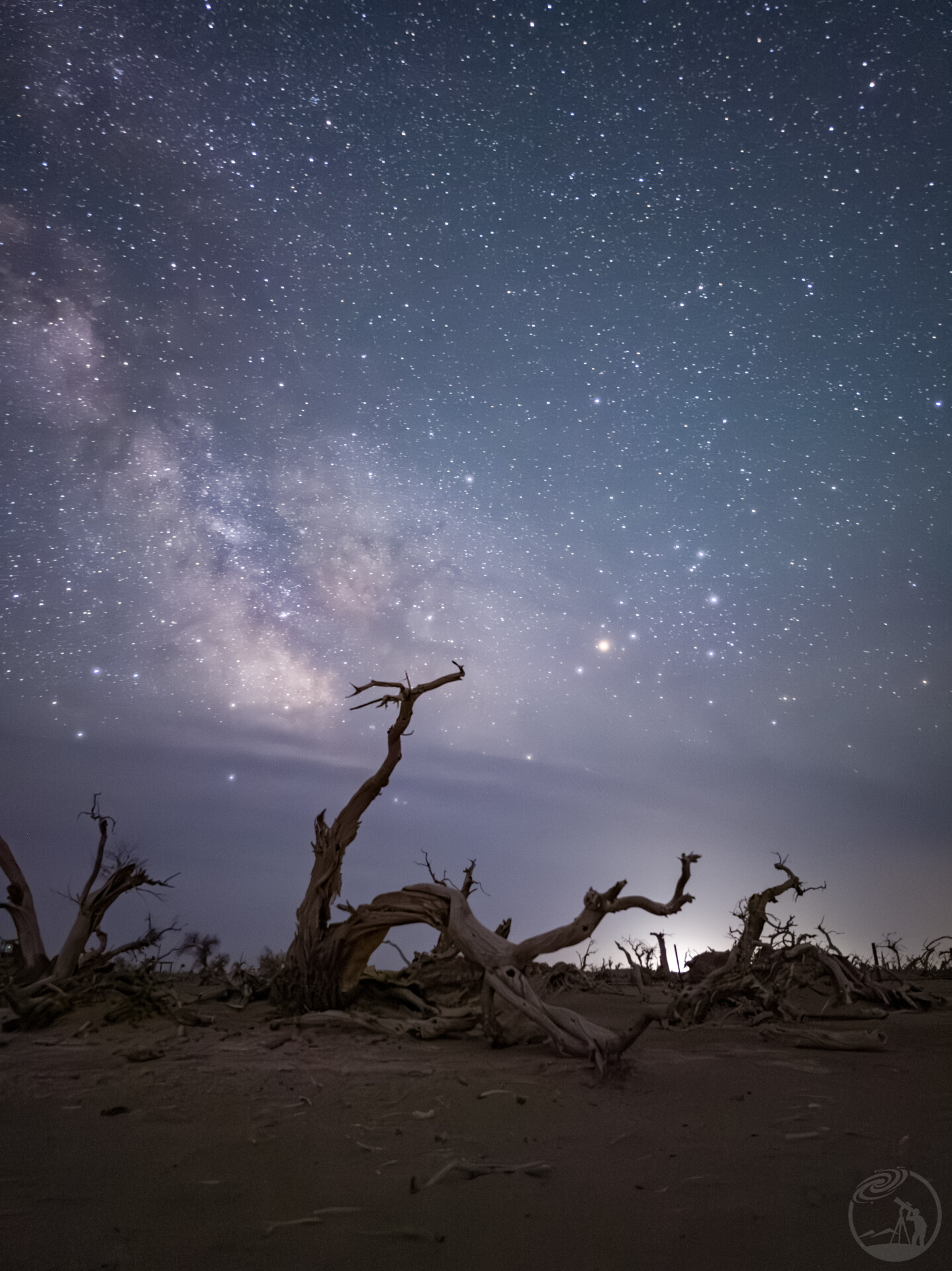 枯树星河