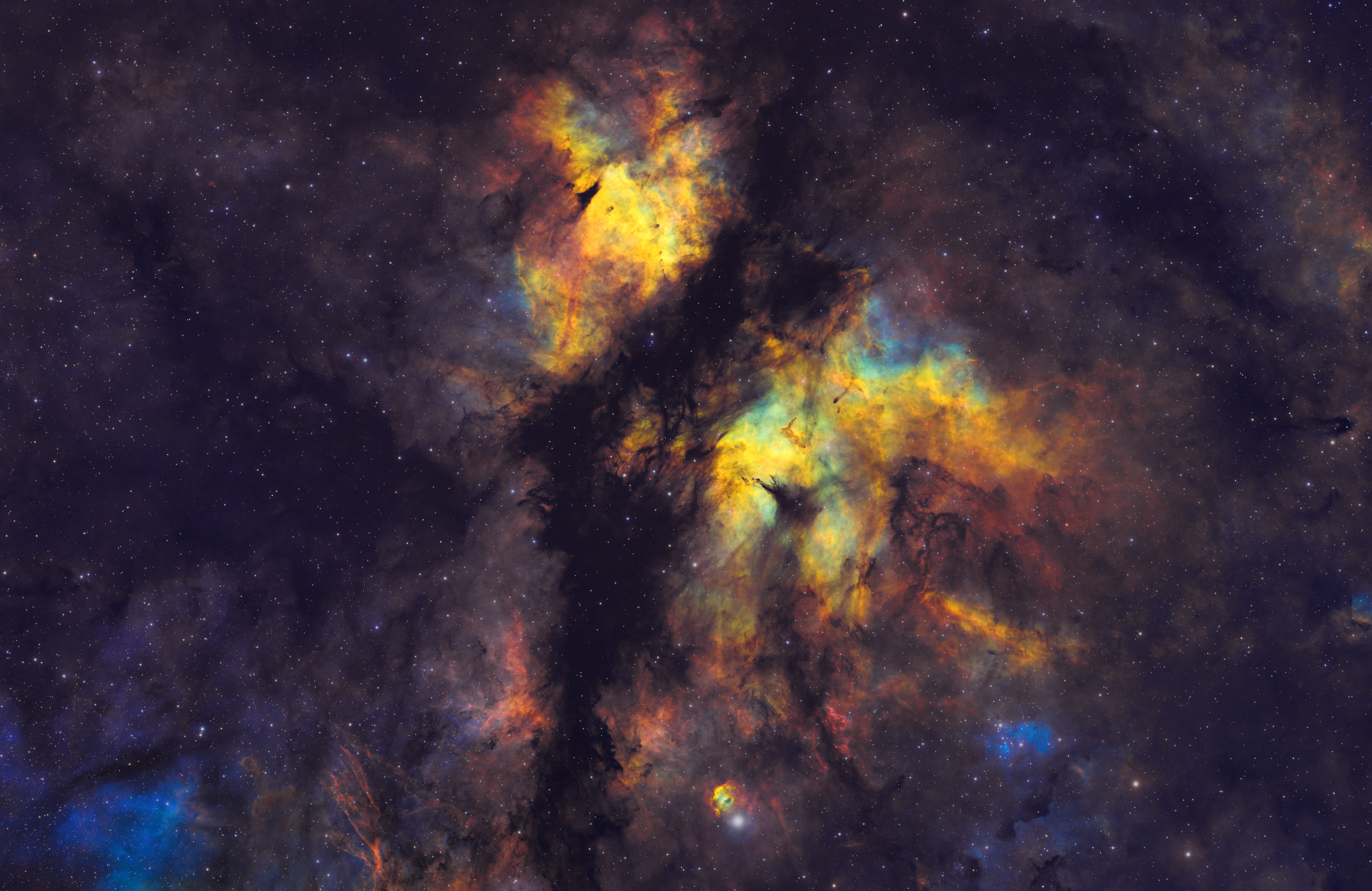 4套黑白素材，提供预处理后的原始亮场（赠送一套象鼻）