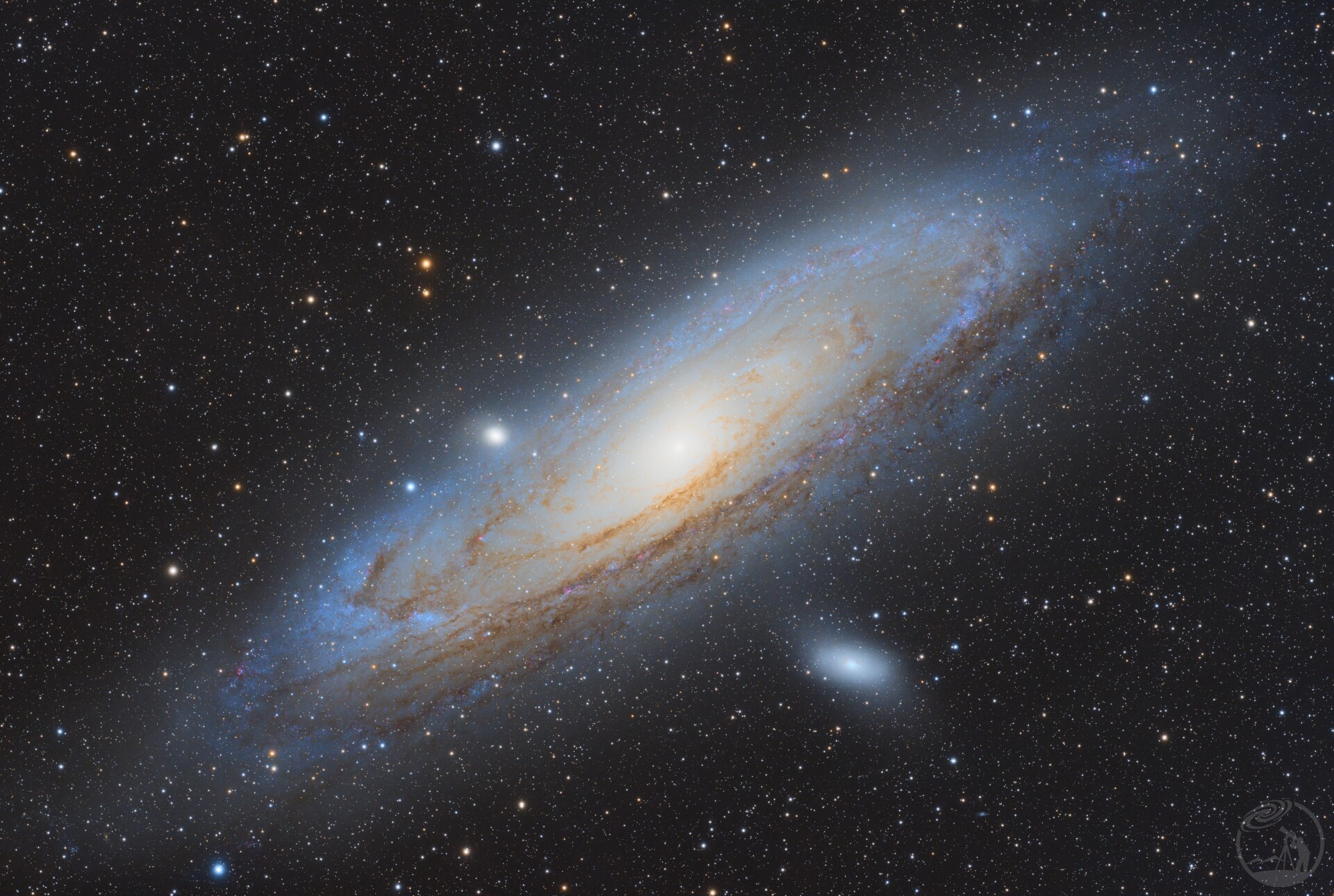 M31