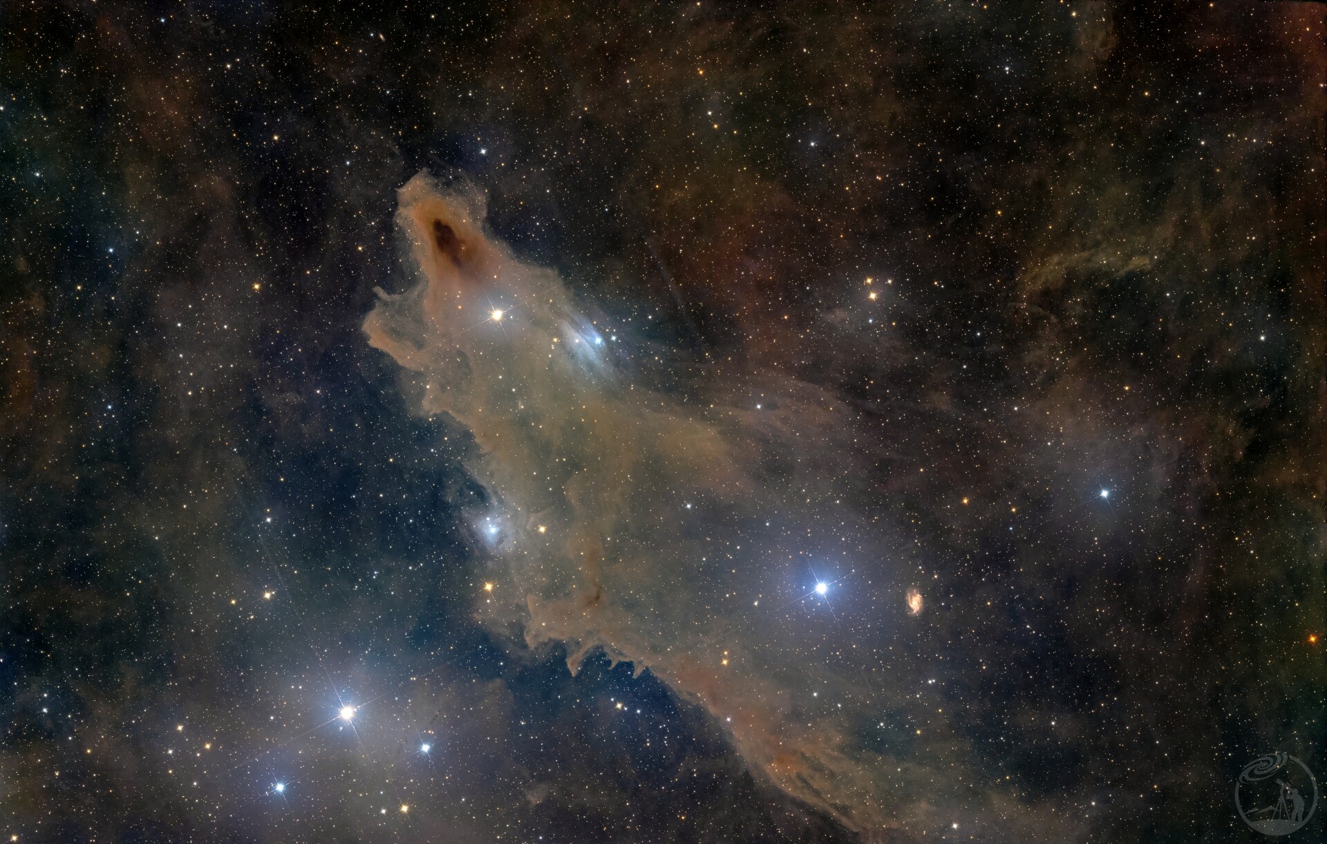 黑鲨星云打卡