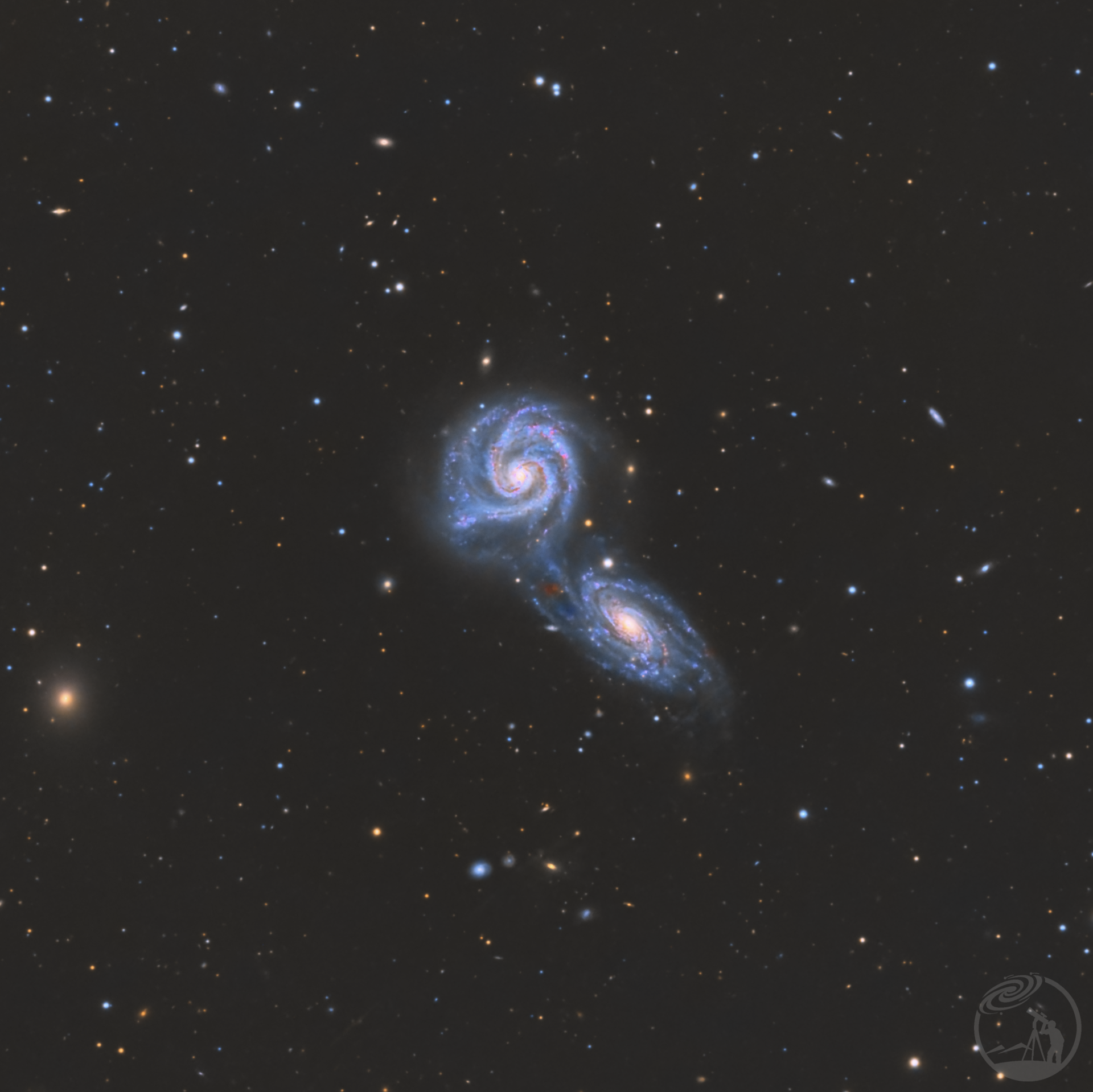 ARP271•小鸡啄米
