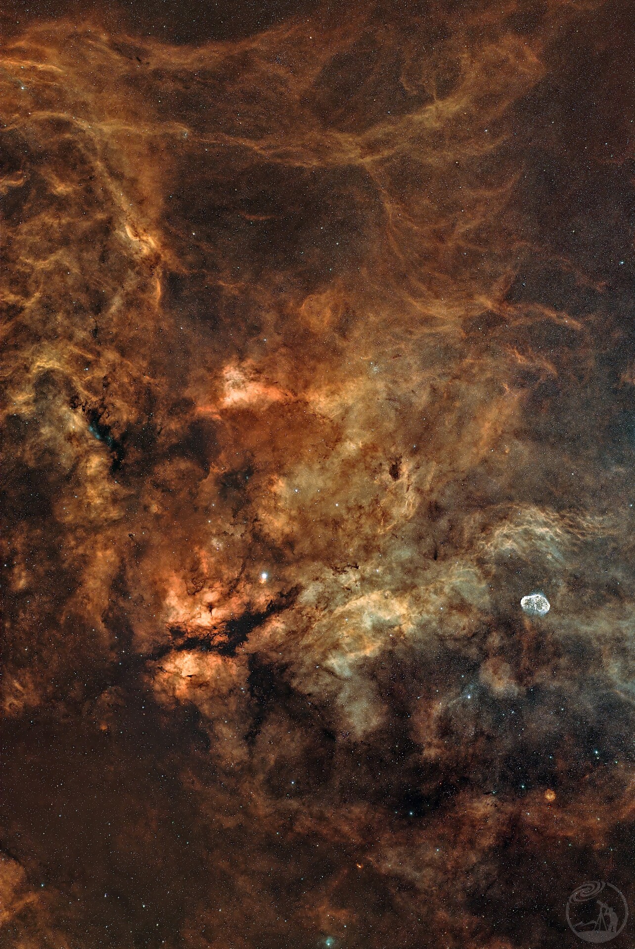 天鹅座广域蝴蝶眉月区域